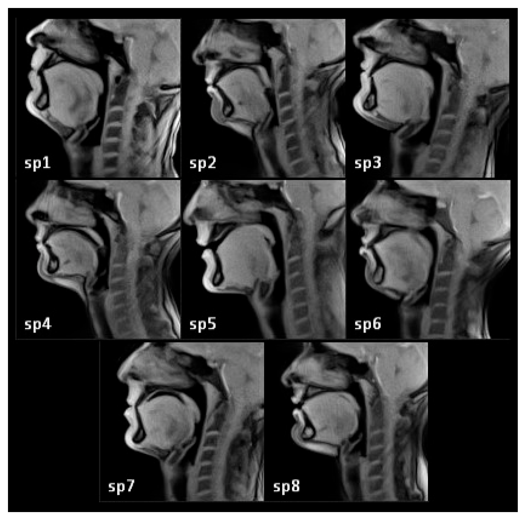 Jimaging 08 00227 g006