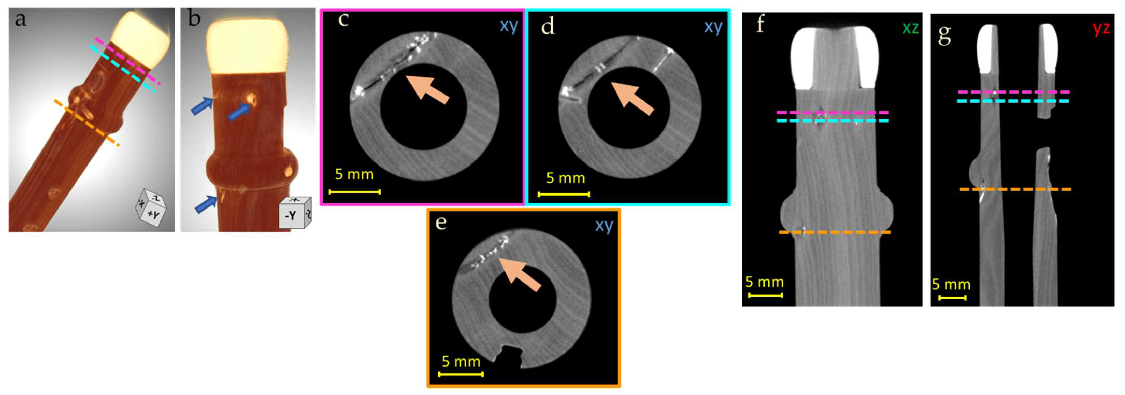 Jimaging 08 00260 g006