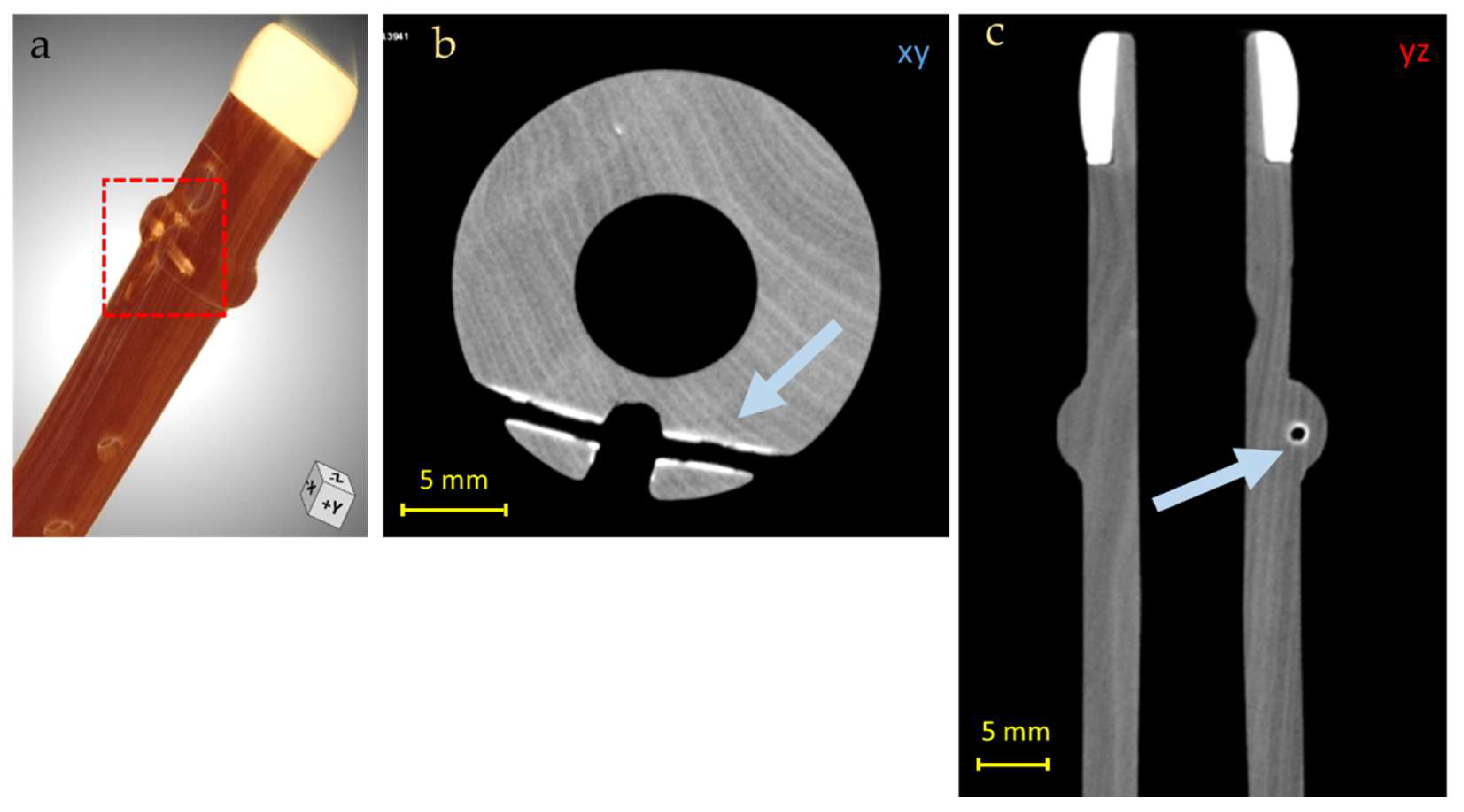 Jimaging 08 00260 g007