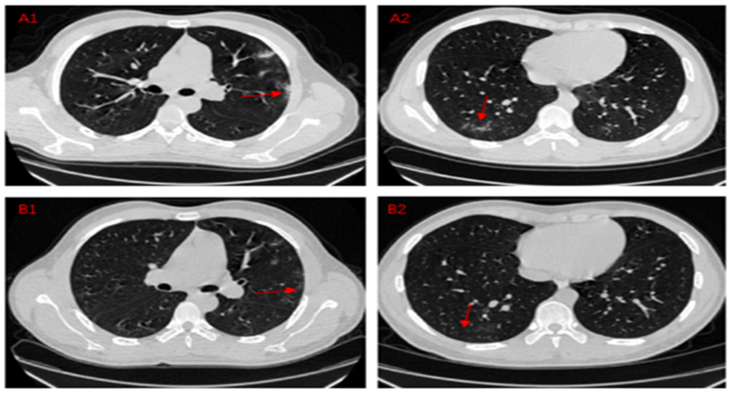 Jimaging 08 00267 g003
