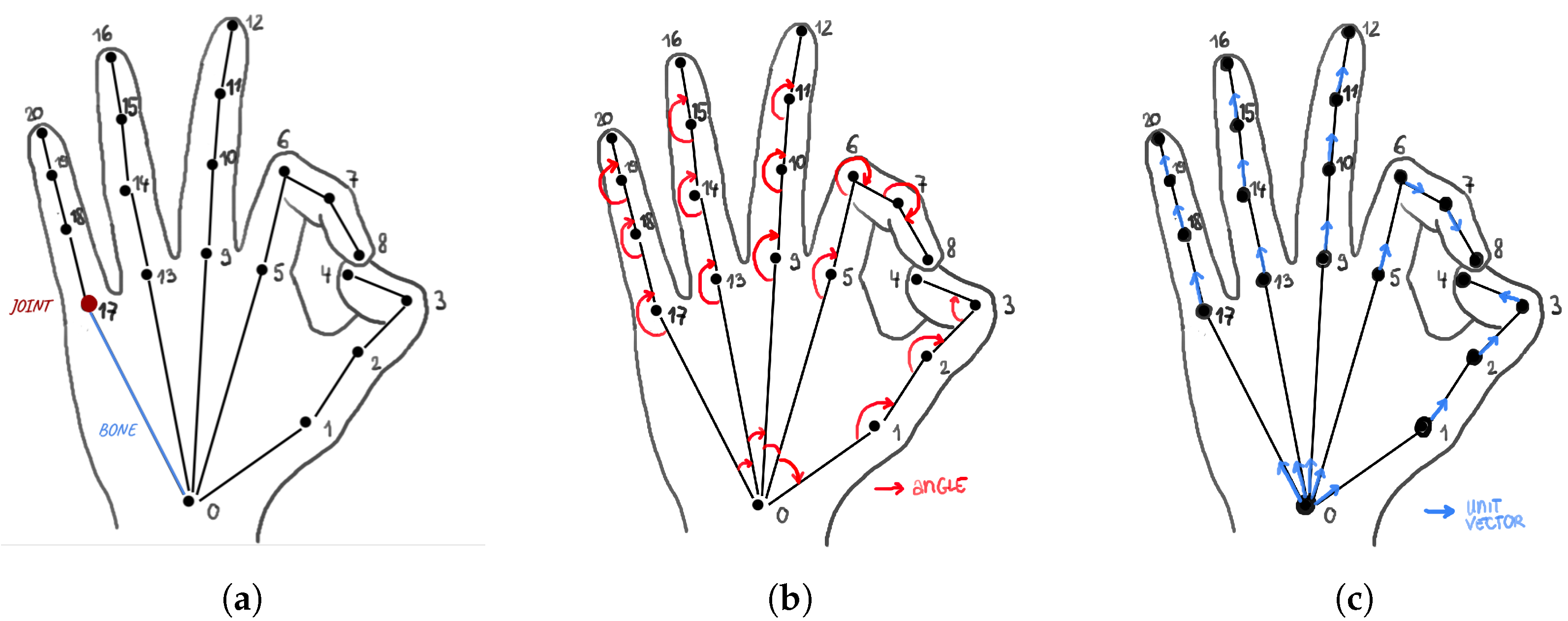 3D hand pose estimation using a wrist-worn ca | EurekAlert!
