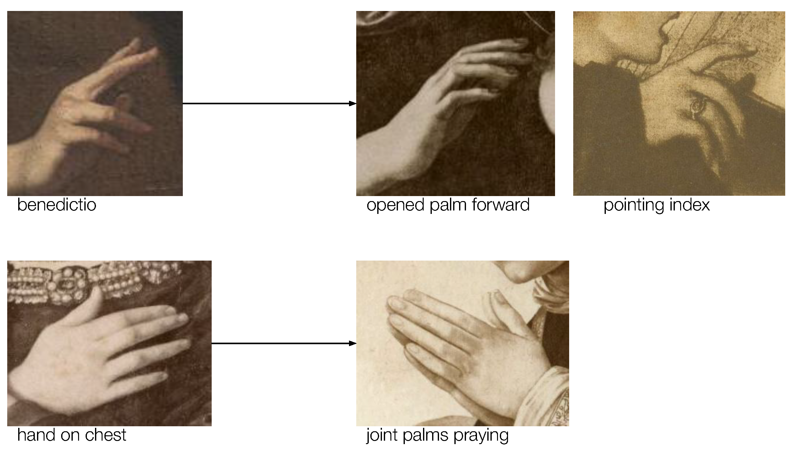 Woman hand showing Kapittha hasta (hand gesture) (also called mudra) ( meaning 
