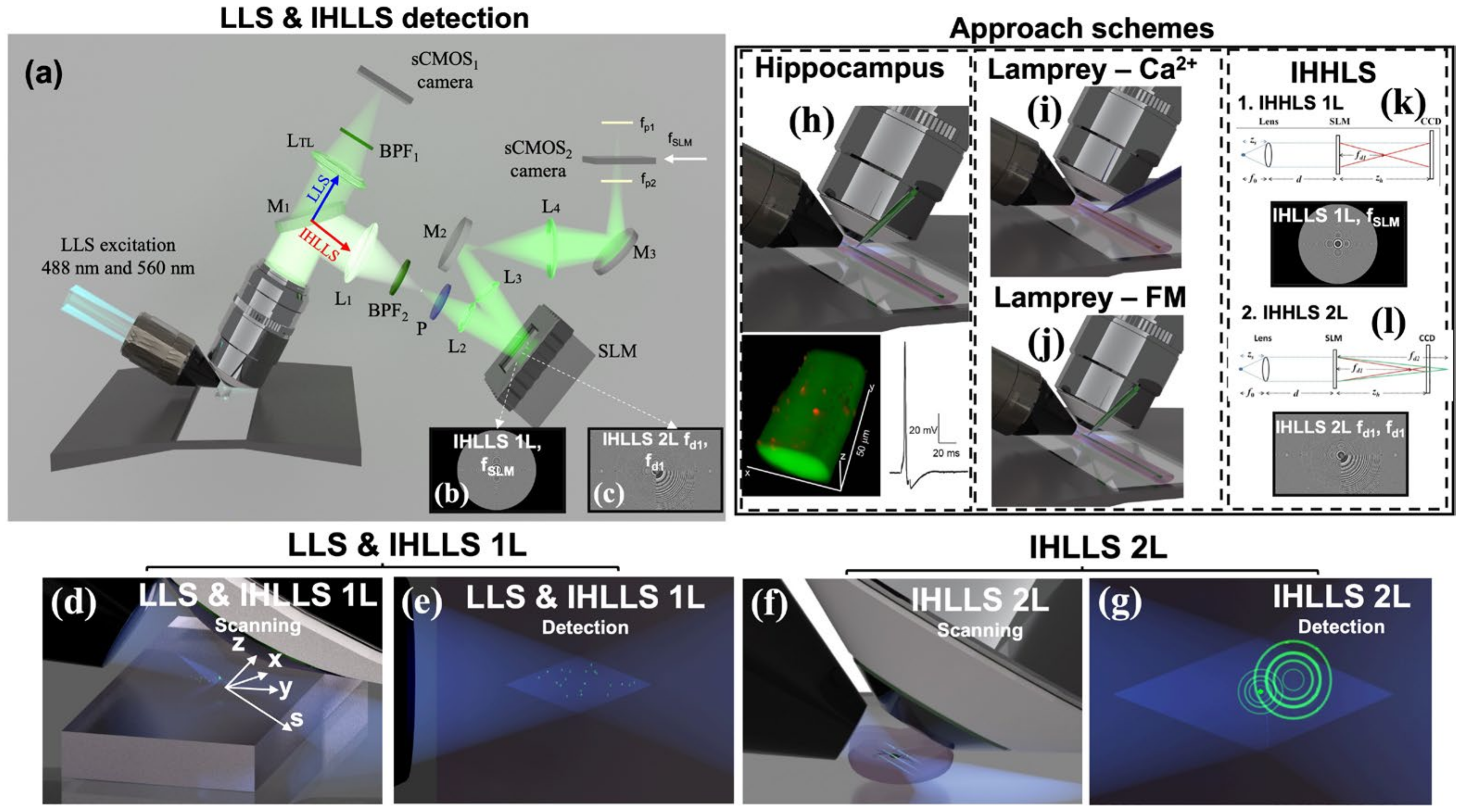 J. Imaging Free FullText Live Cell Light Sheet Imaging with Low