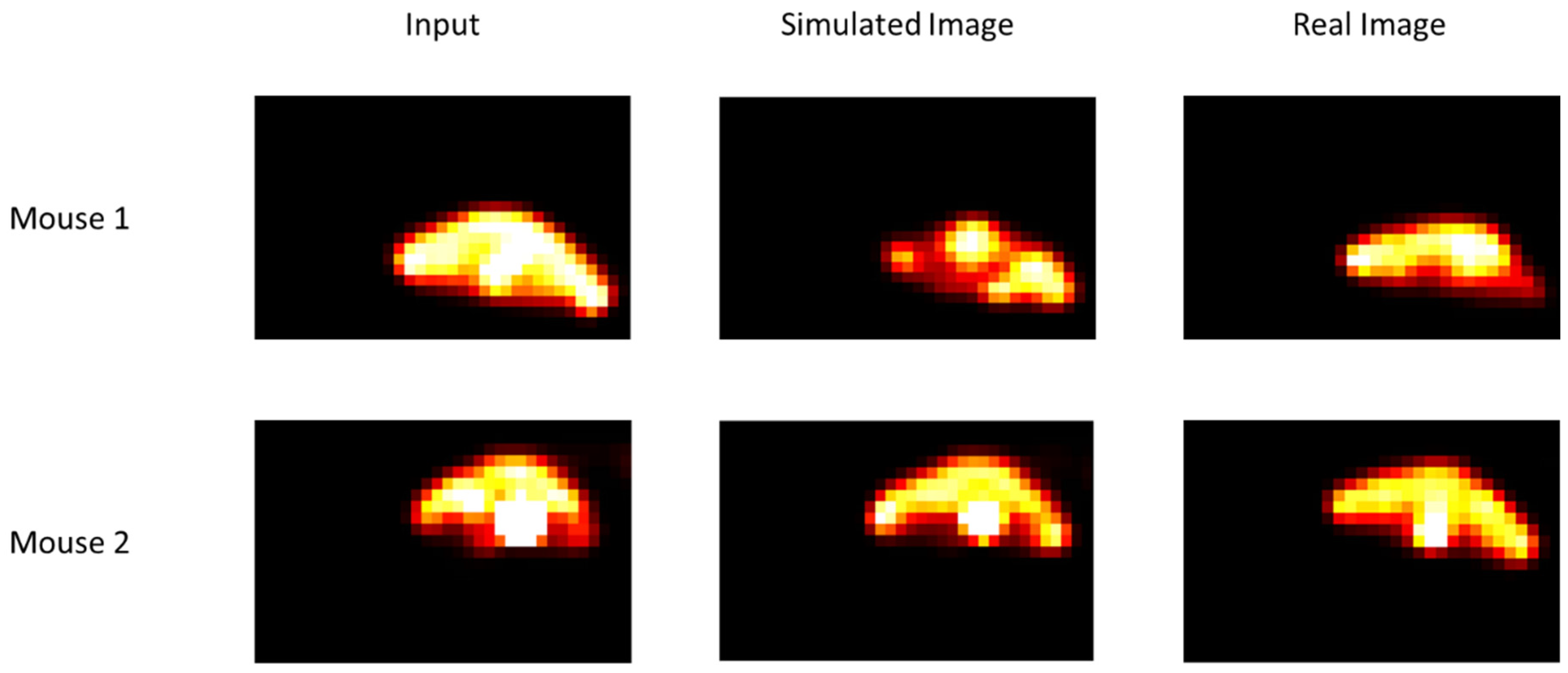 J. Imaging | Free Full-Text | Predicting the Tumour Response to ...