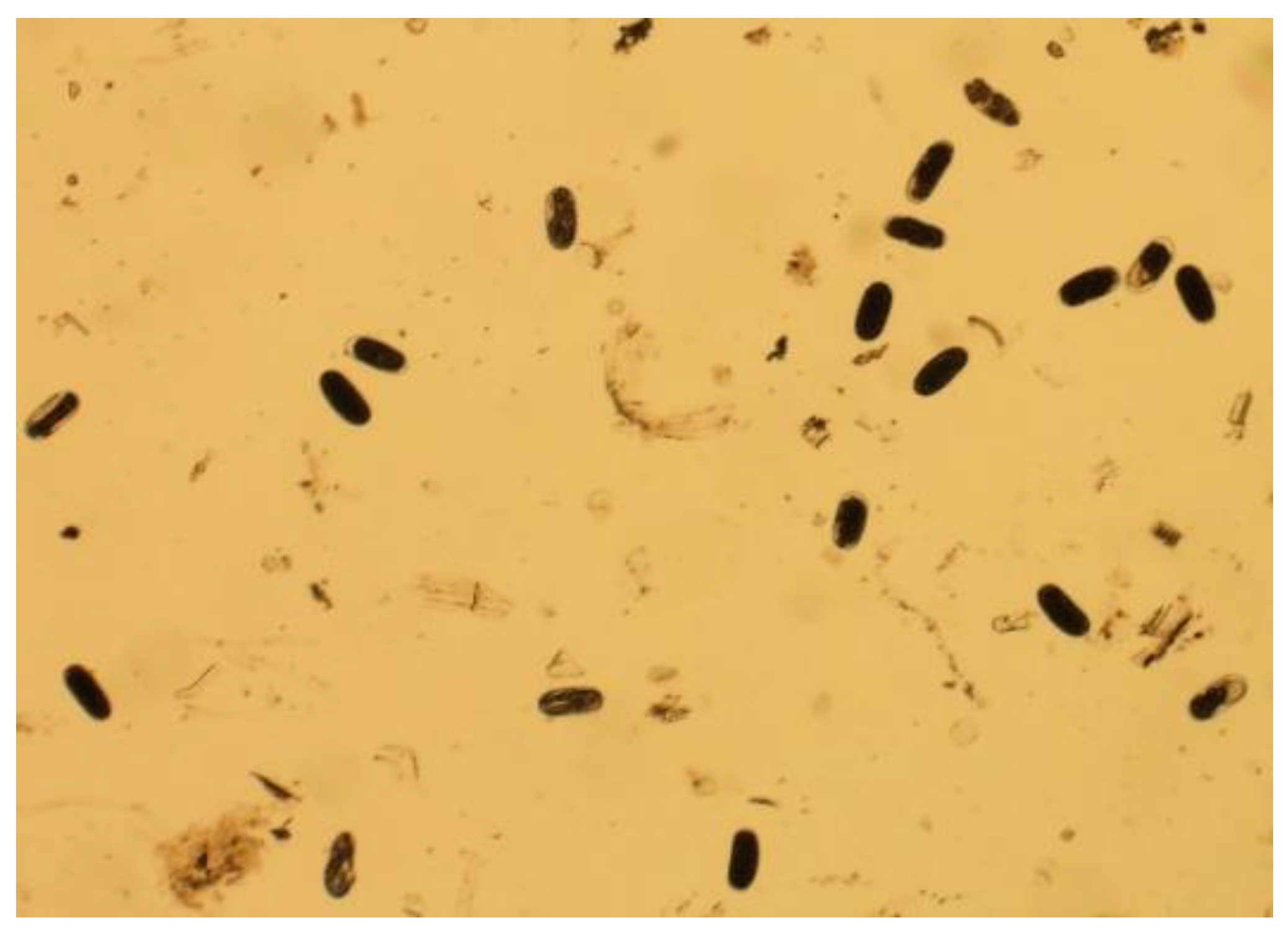 Jimaging 09 00240 g002 Jimaging 09 00240 g002