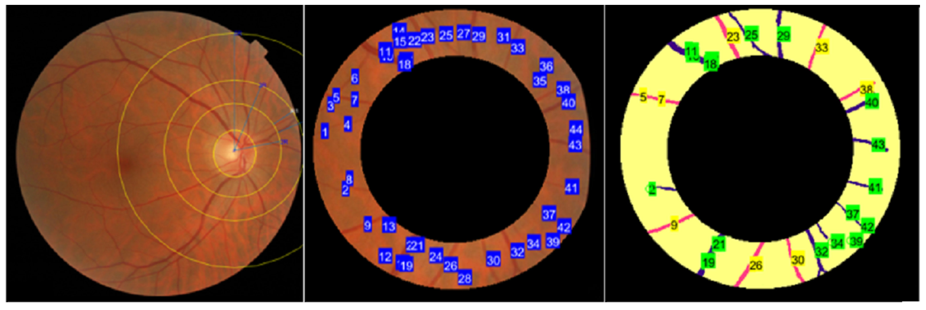 Jimaging 09 00253 g012