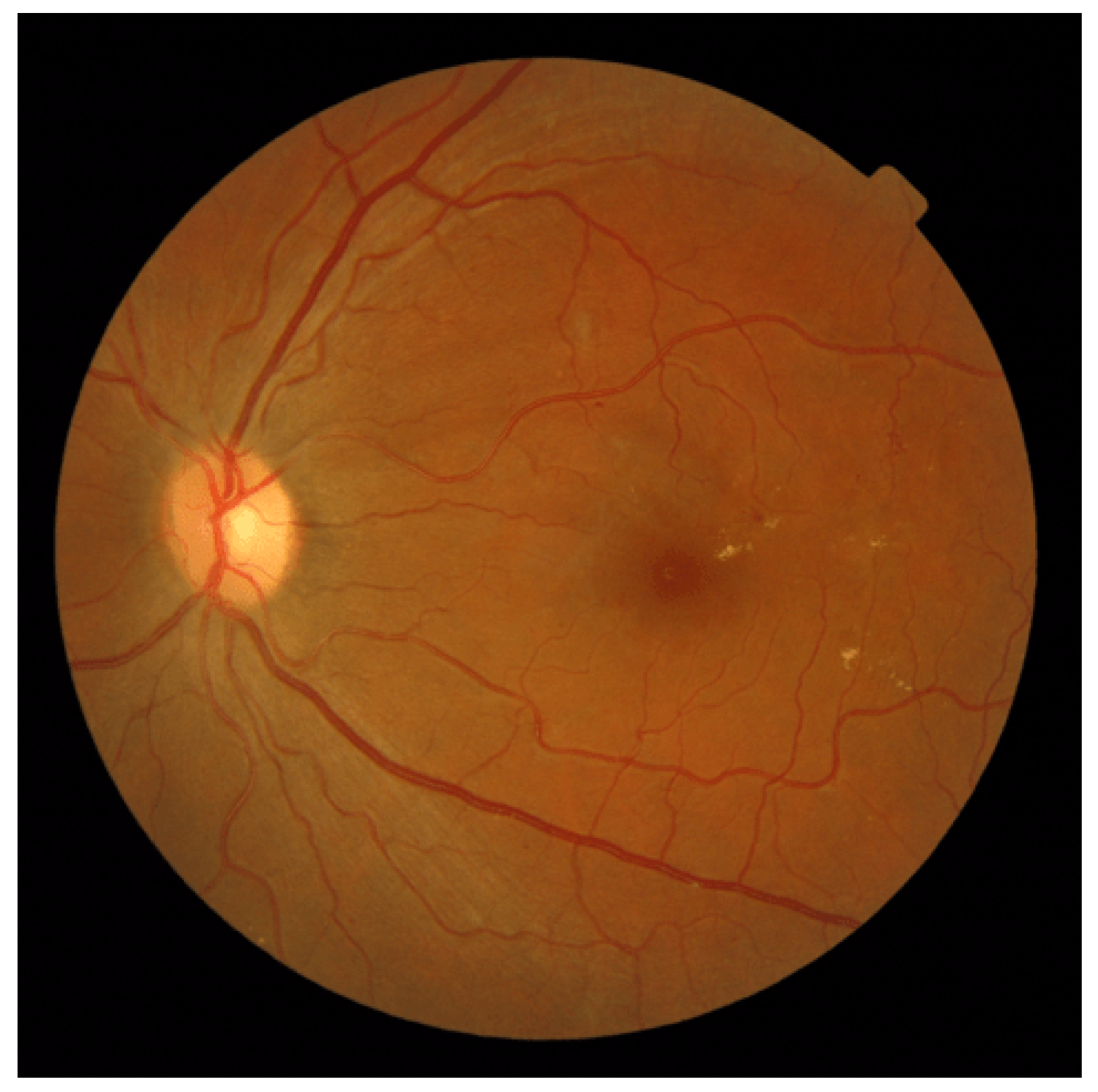 Jimaging 09 00253 g015