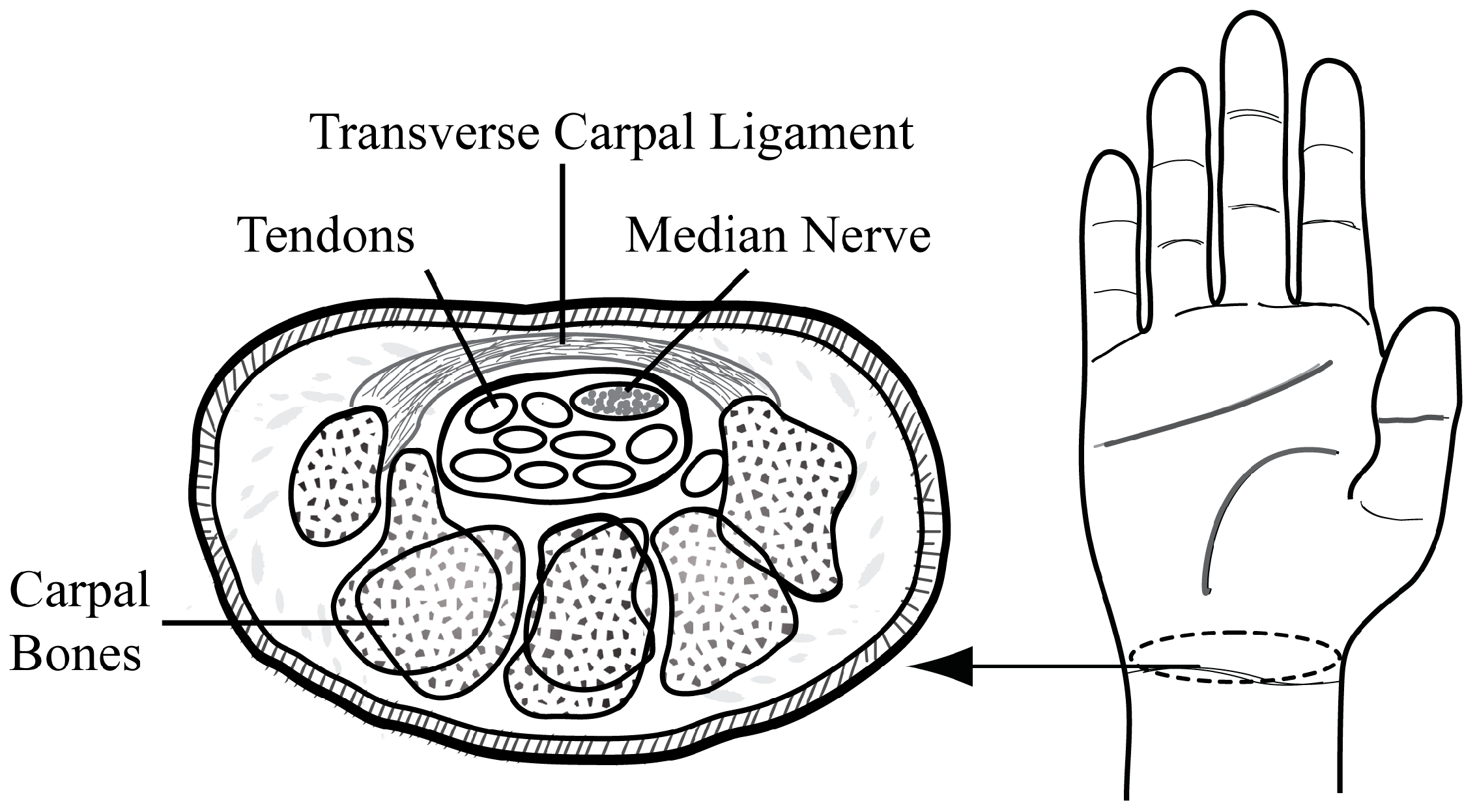 Jimaging 10 00013 g001 Jimaging 10 00013 g001
