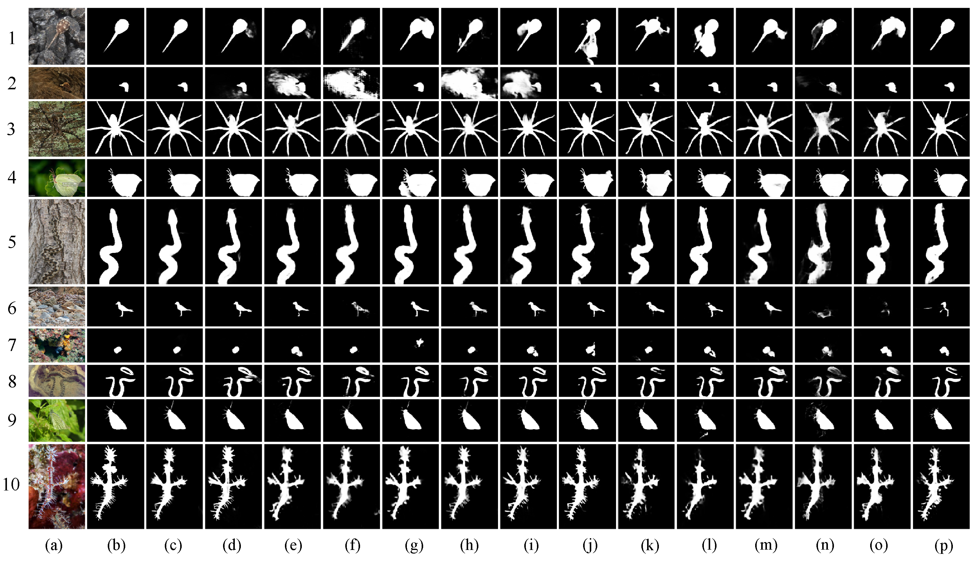 Jimaging 10 00024 g004 Jimaging 10 00024 g004