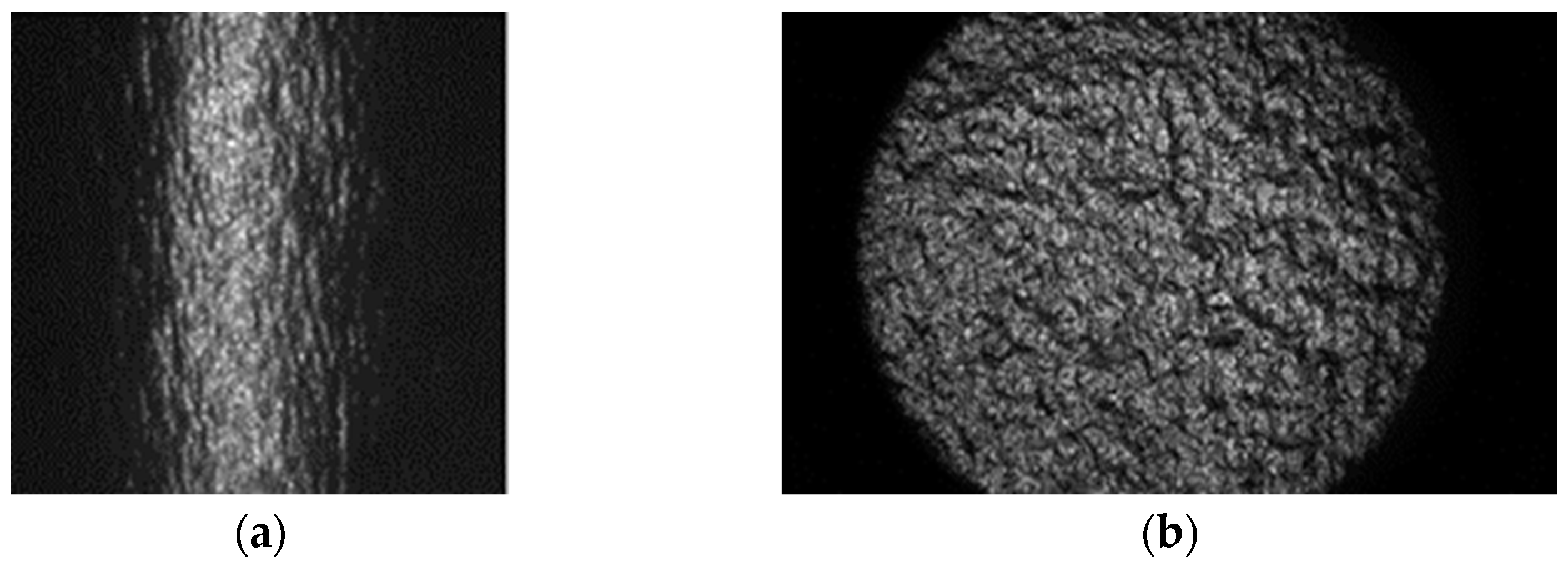 Jimaging 10 00146 g004 Jimaging 10 00146 g004