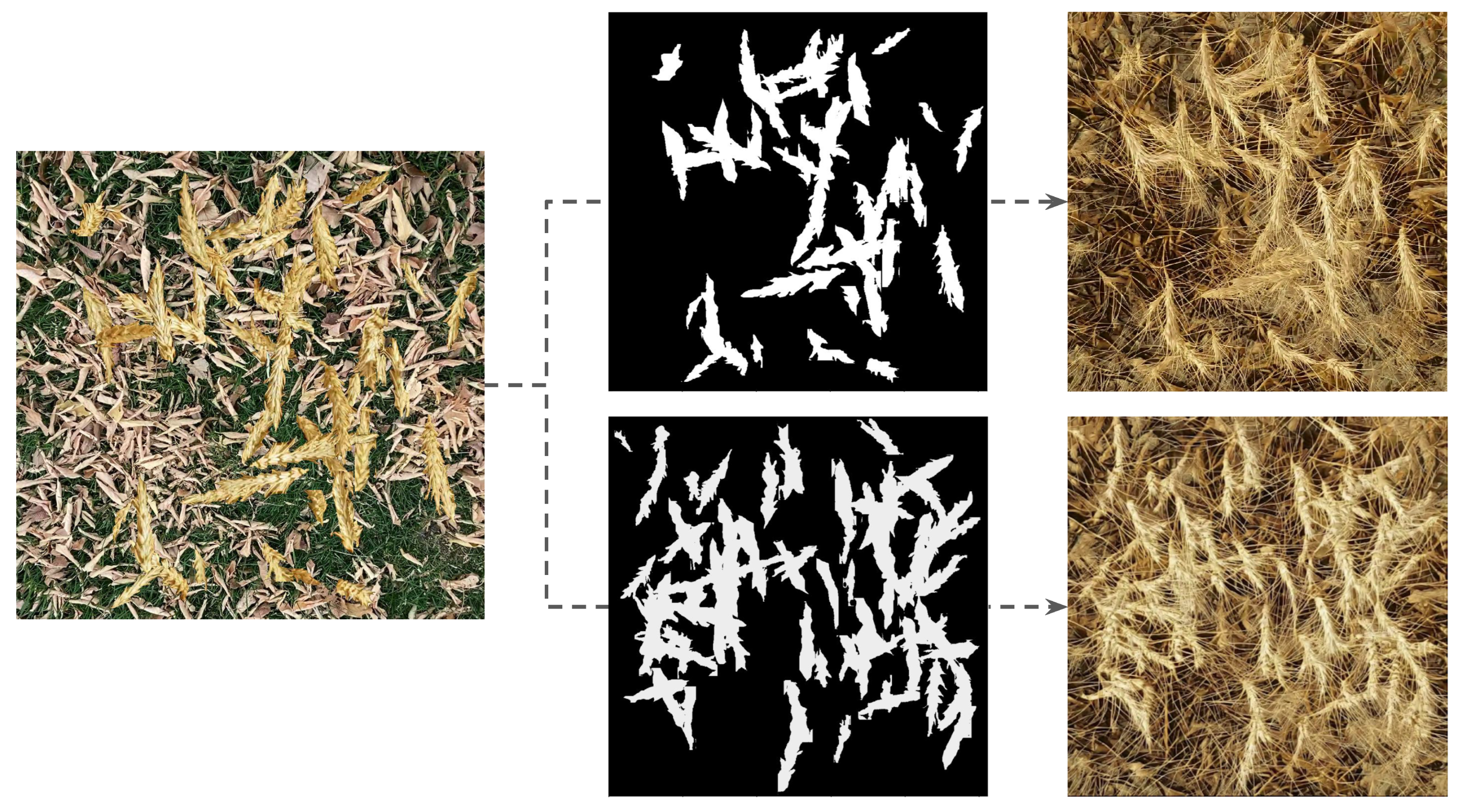 Jimaging 10 00152 g007