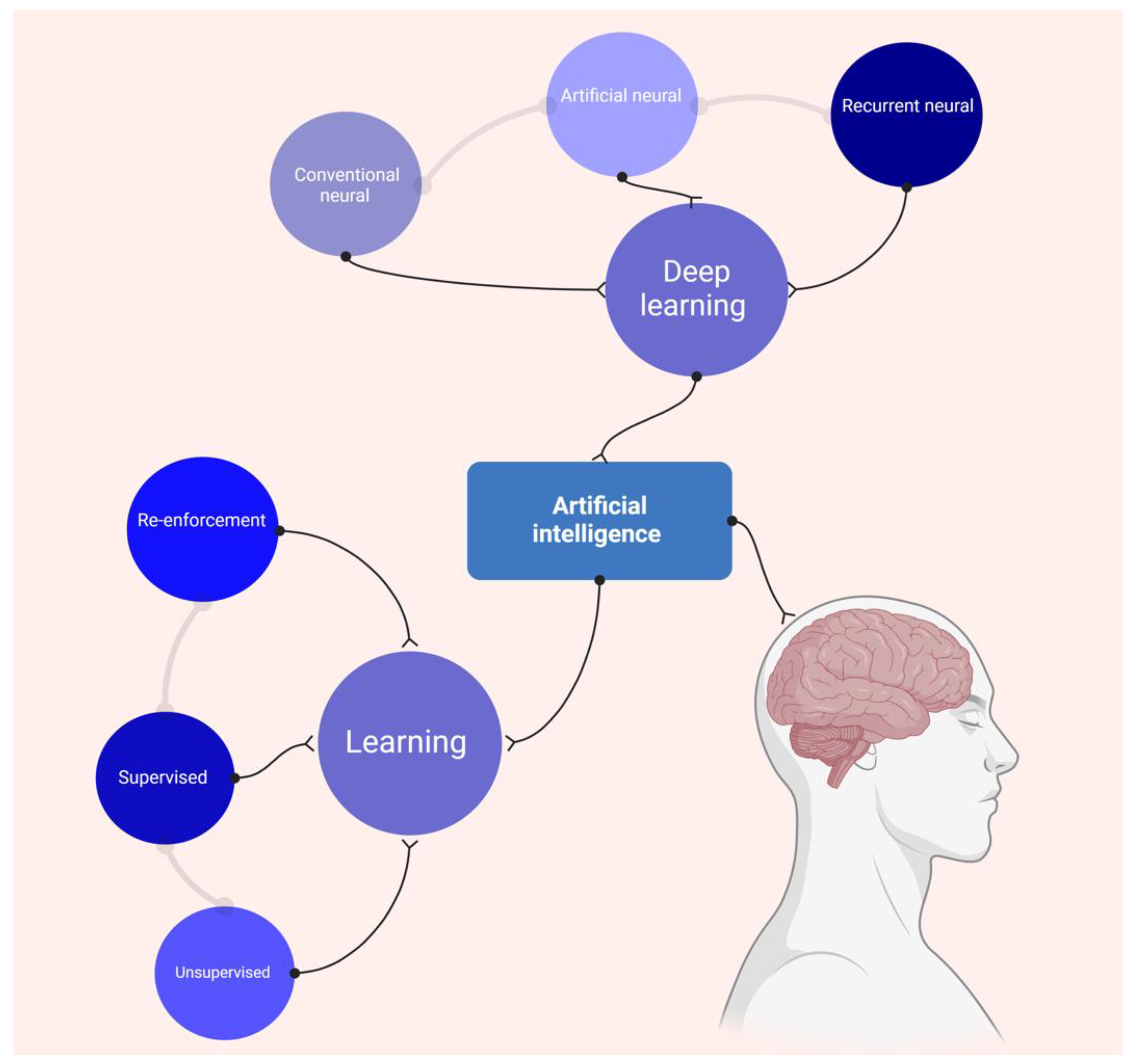 Jimaging 10 00193 g003