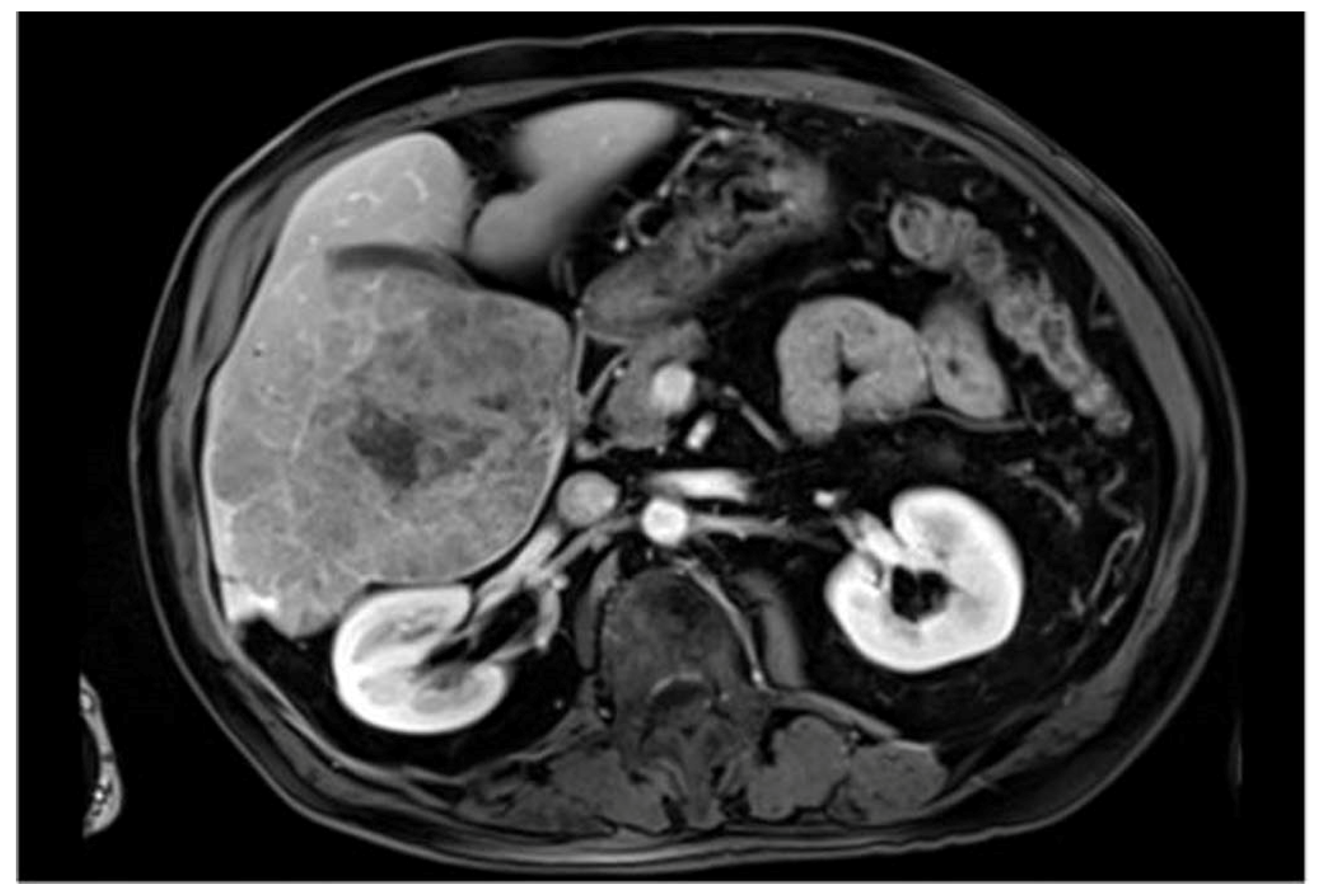 Jimaging 10 00202 g003