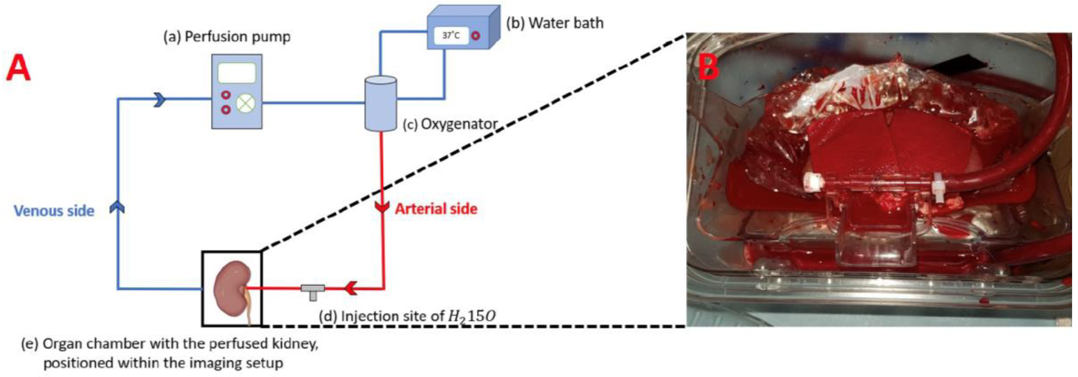 Jimaging 10 00209 g001