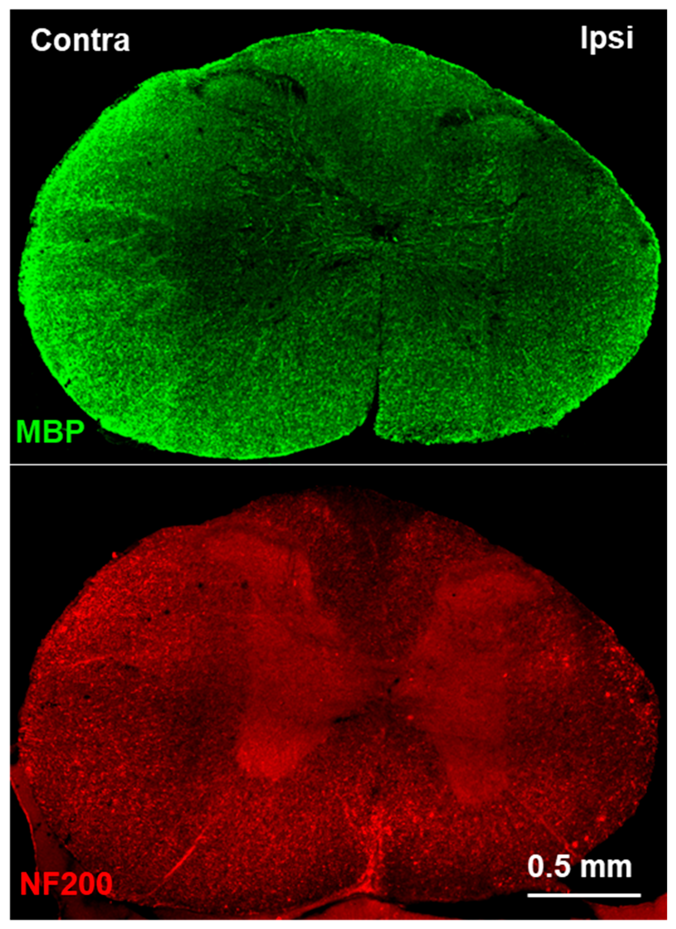 Jimaging 10 00213 g007