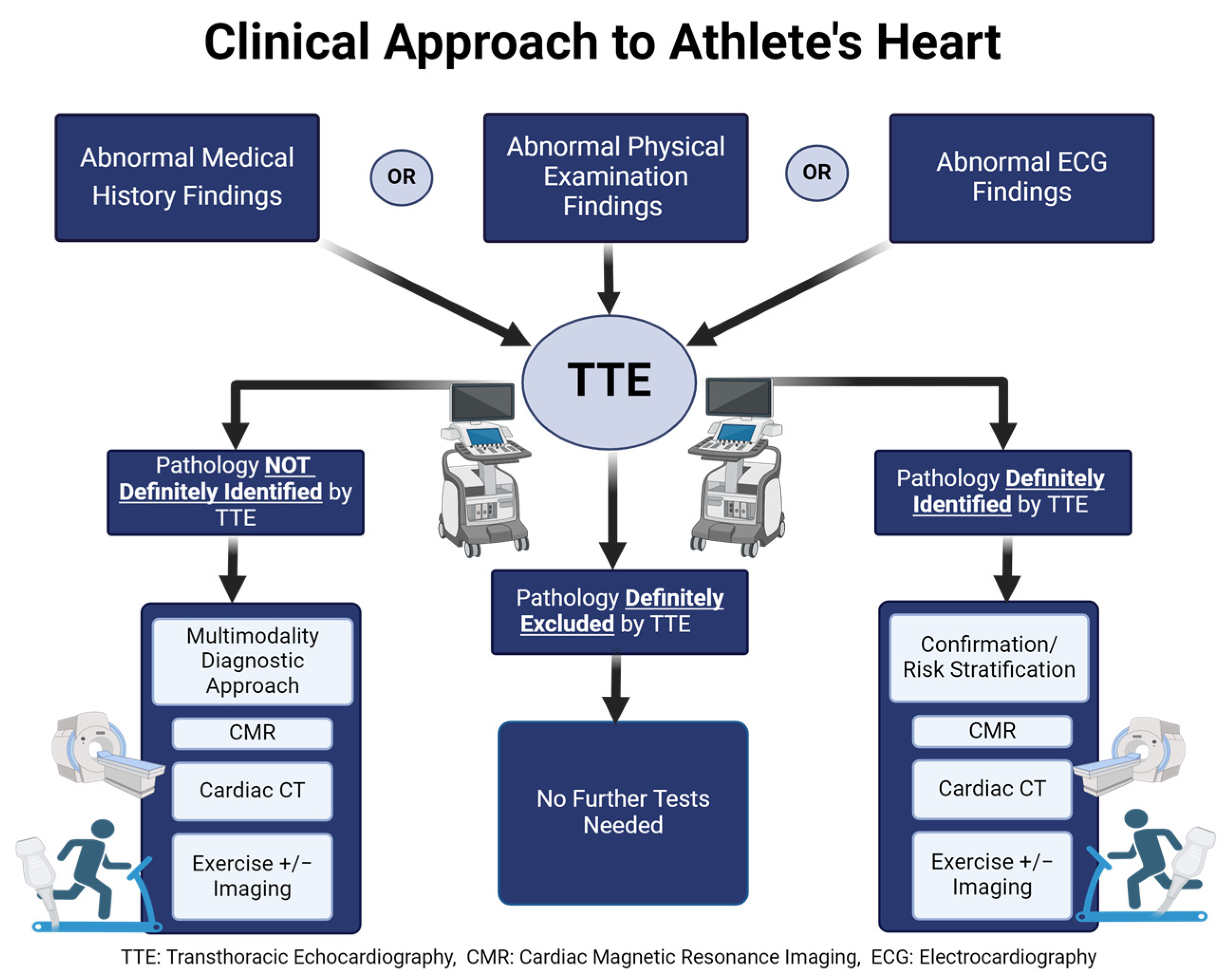 Jimaging 10 00230 g001 Jimaging 10 00230 g001