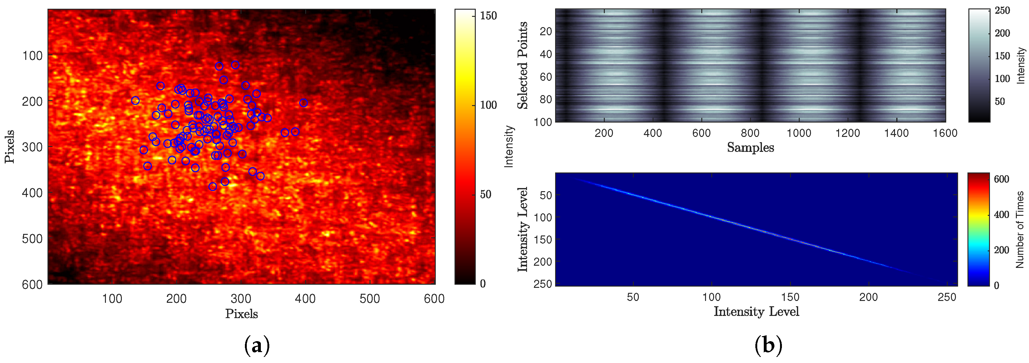 Jimaging 10 00289 g012