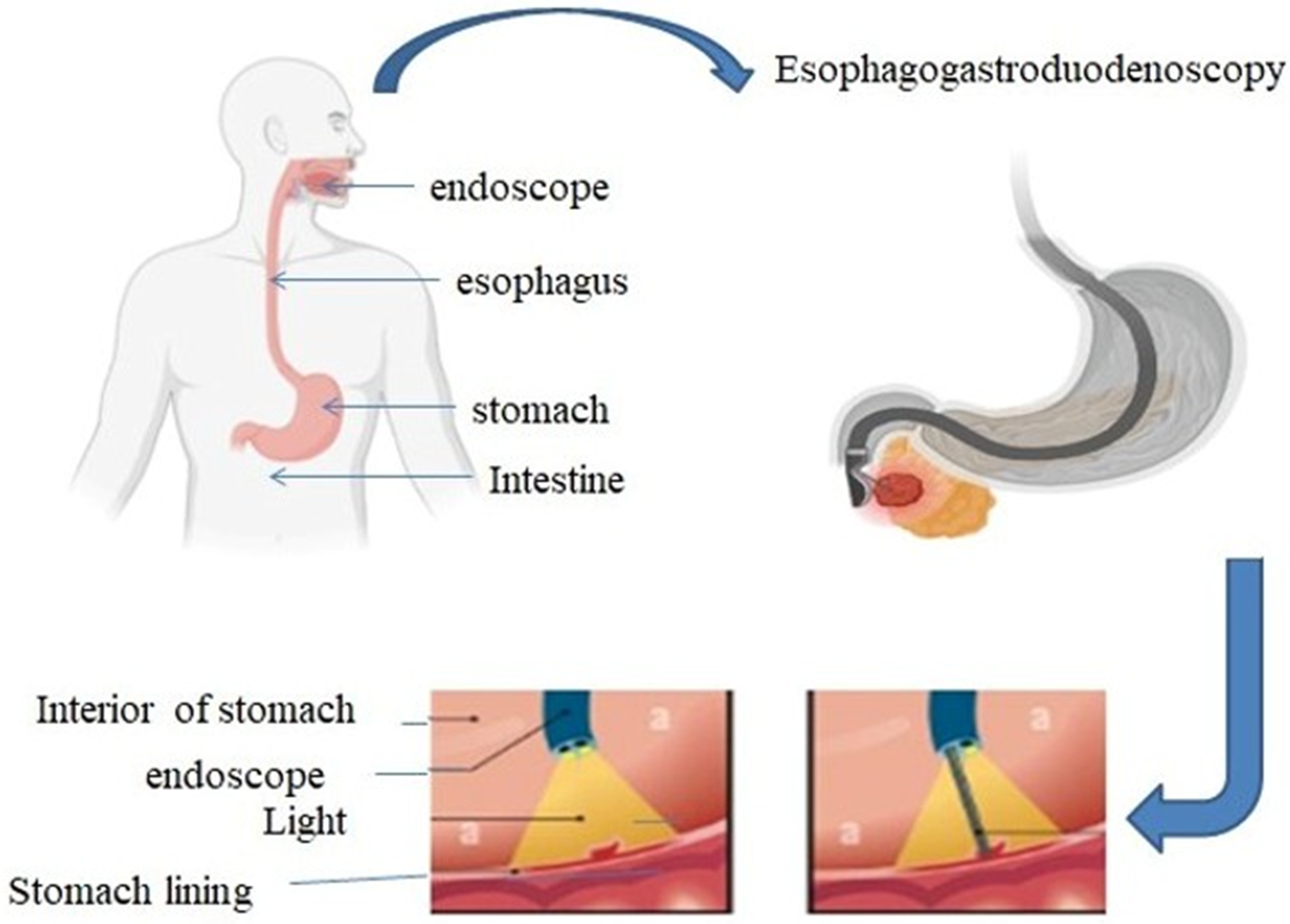 Jimaging 11 00087 g001