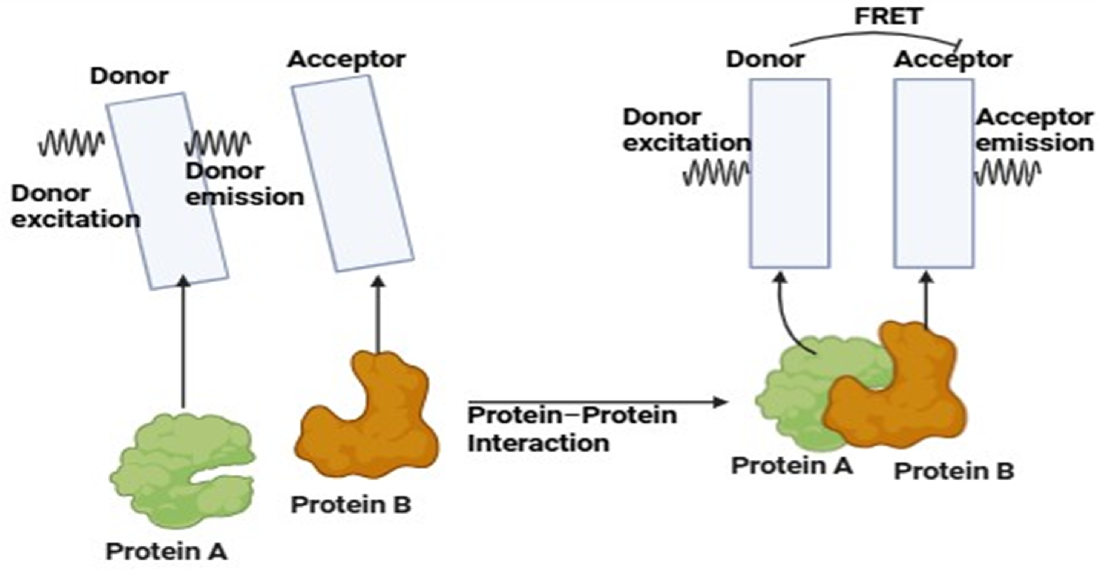 Jimaging 11 00087 g005