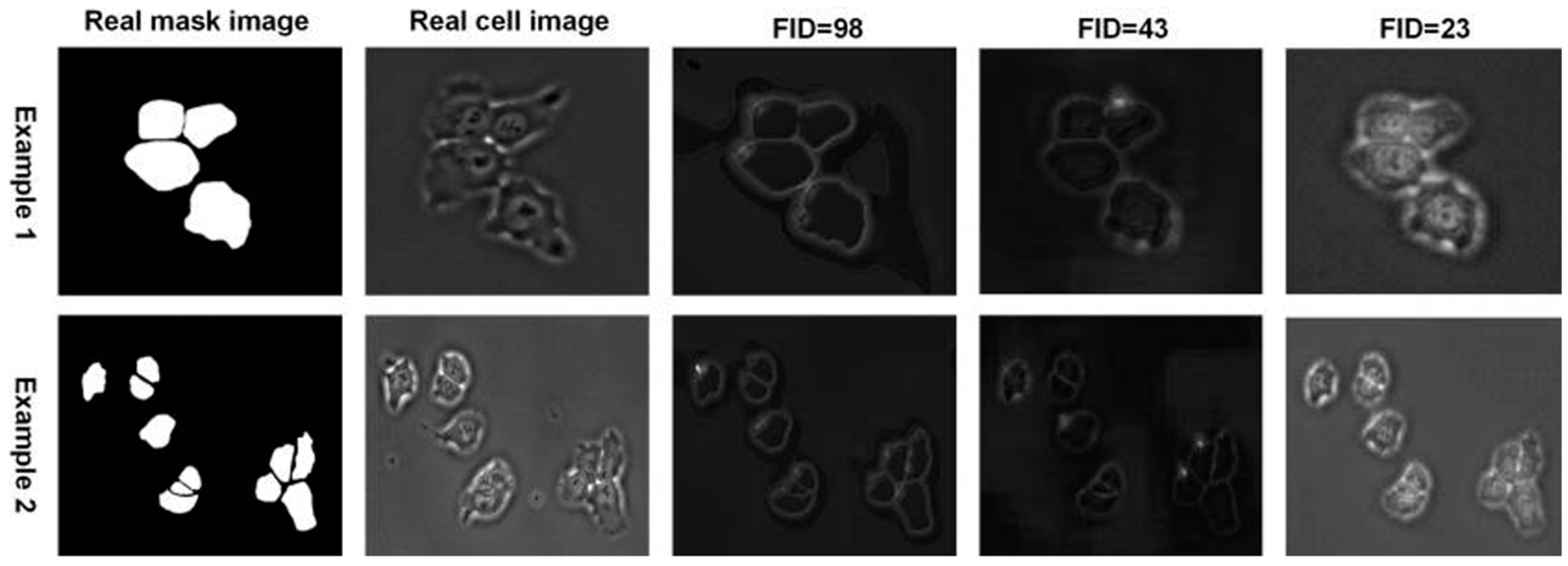Jimaging 11 00103 g001