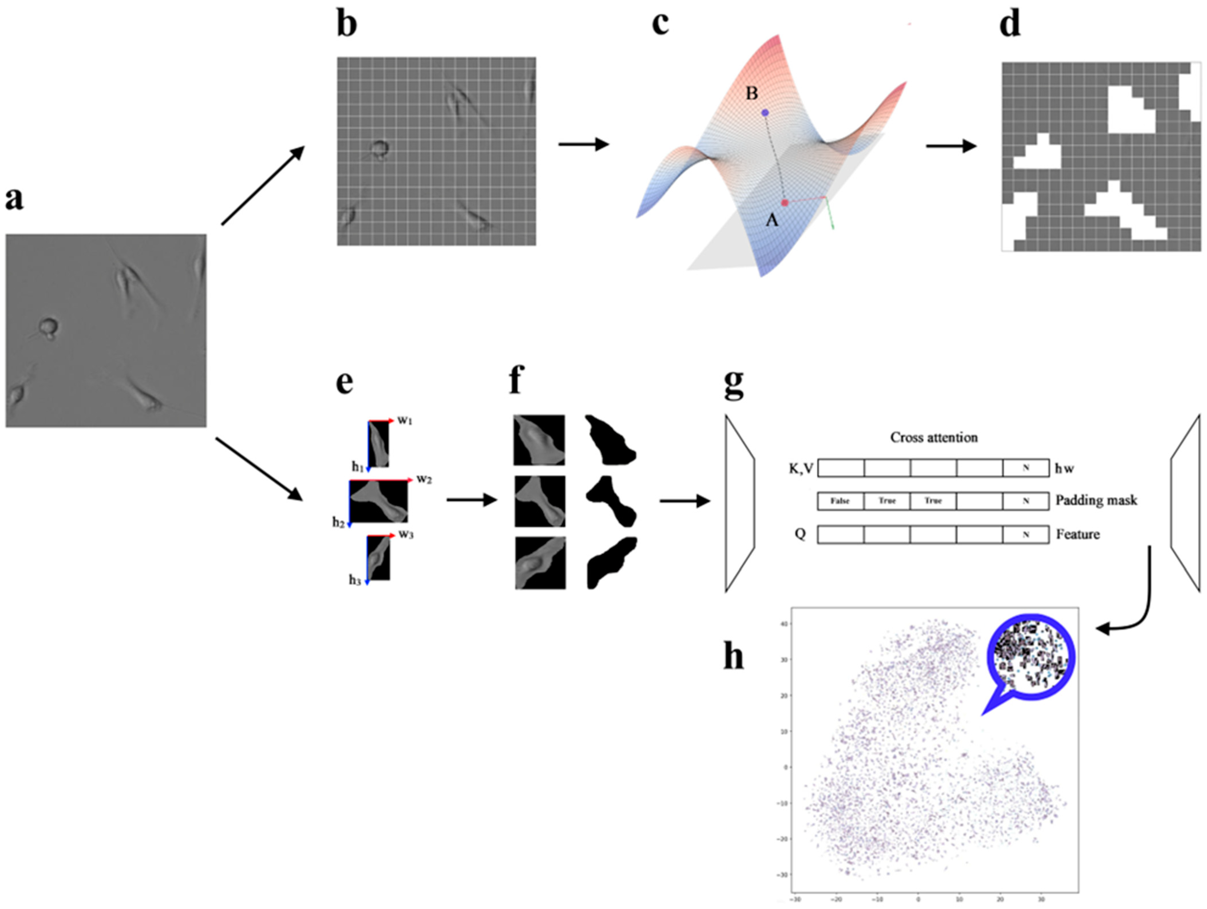 Jimaging 11 00103 g002