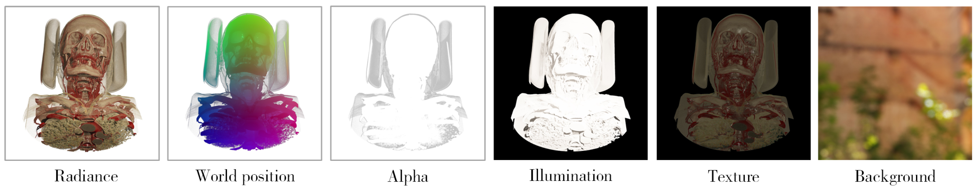 Jimaging 11 00126 g002