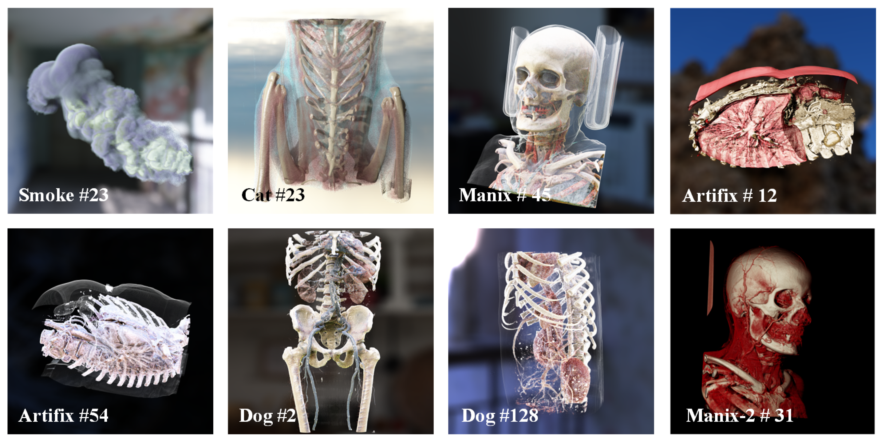 Jimaging 11 00126 g006