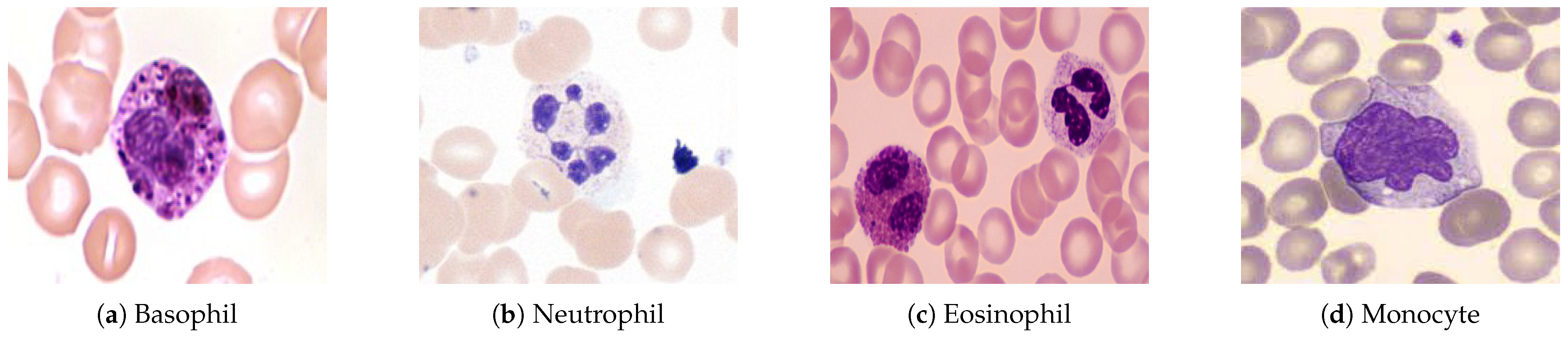 Jimaging 11 00157 g001 Jimaging 11 00157 g001