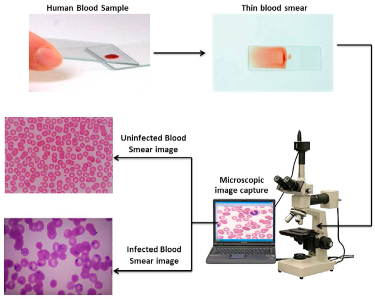 Jimaging 11 00157 g002 Jimaging 11 00157 g002