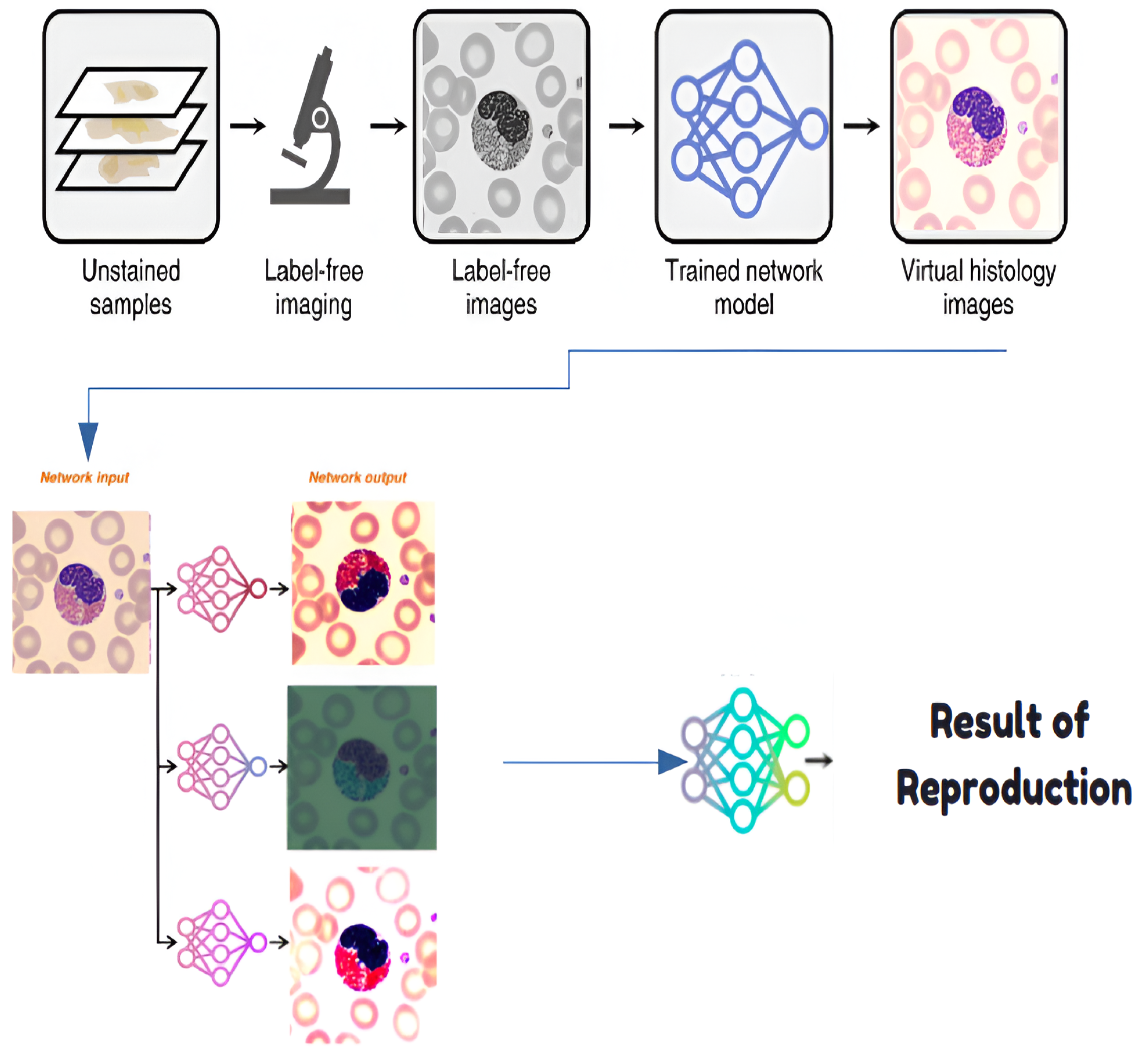 Jimaging 11 00157 g007 Jimaging 11 00157 g007