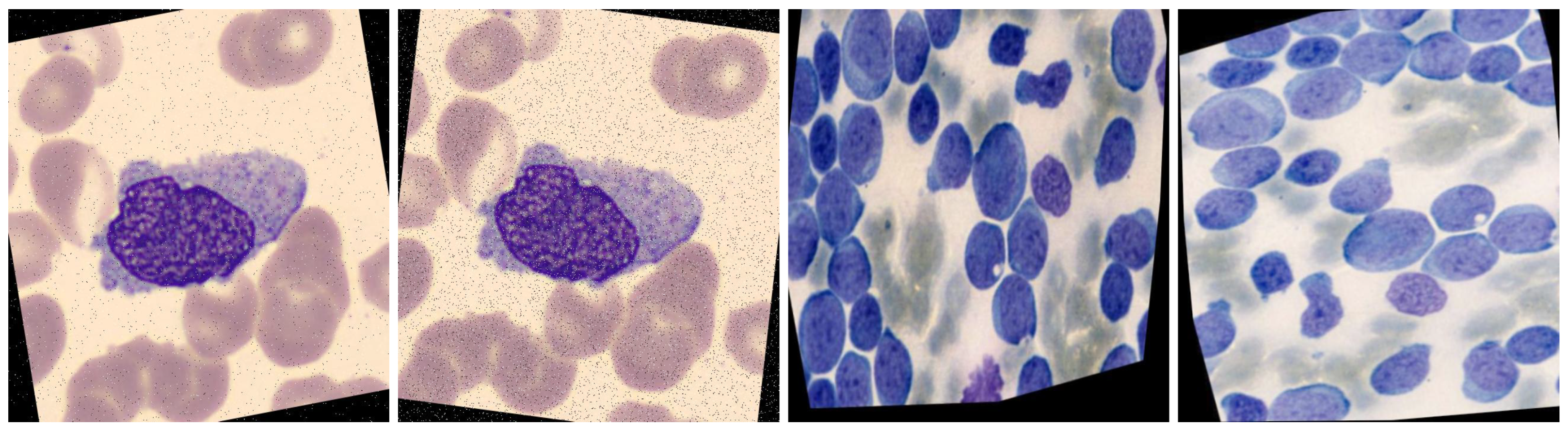 Jimaging 11 00157 g009 Jimaging 11 00157 g009