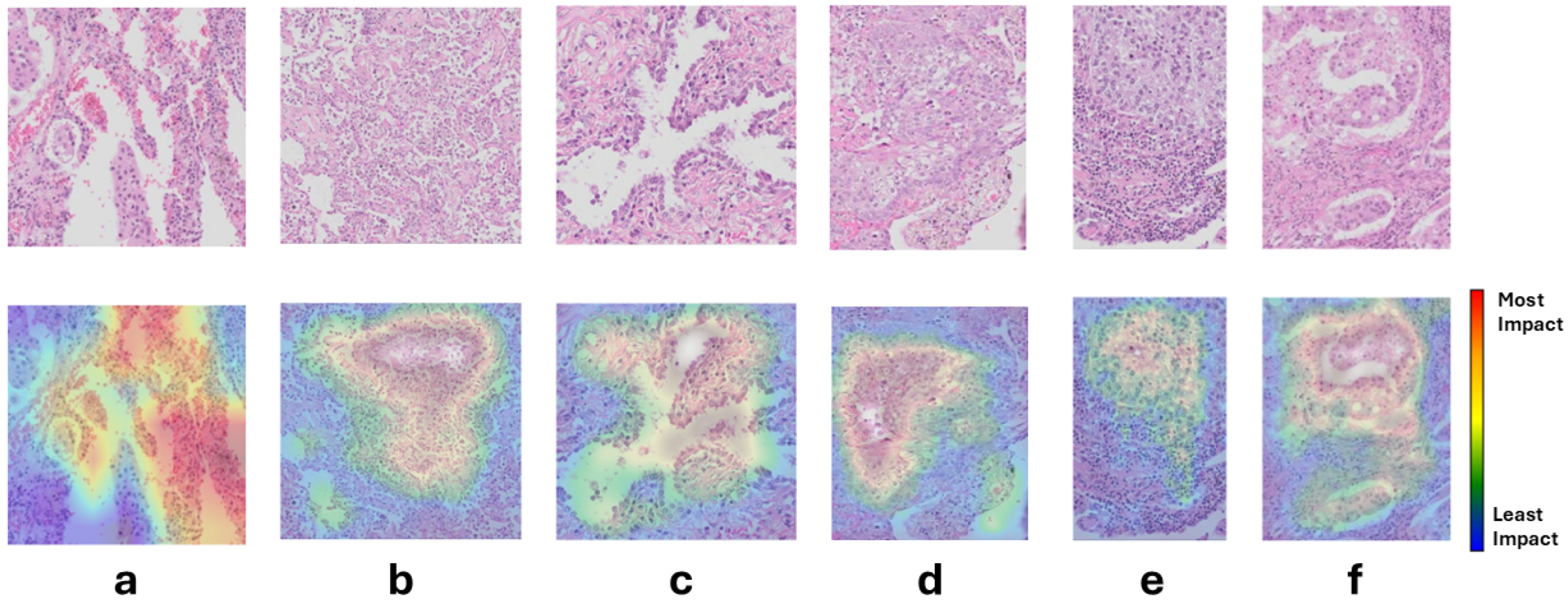 Jimaging 11 00166 g007