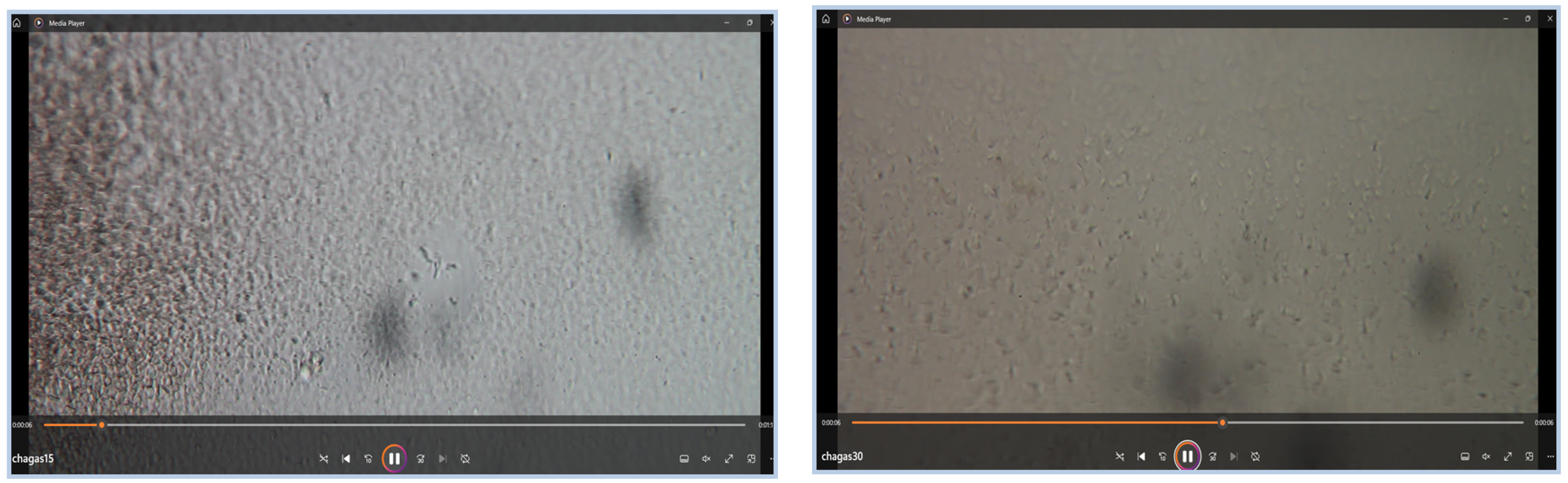 Jimaging 11 00315 g006 Jimaging 11 00315 g006