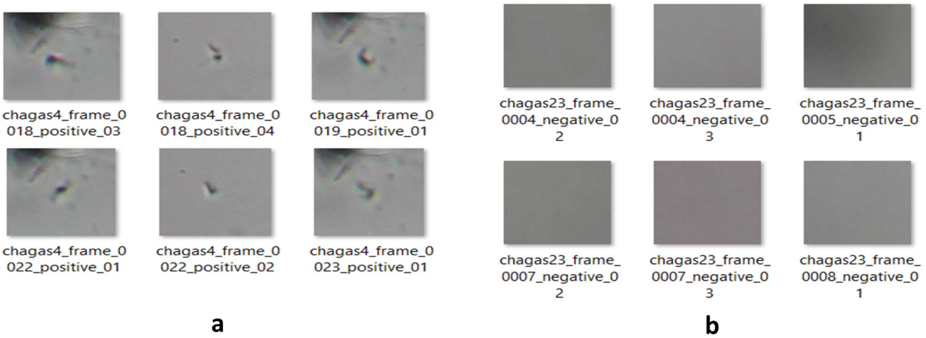Jimaging 11 00315 g007 Jimaging 11 00315 g007