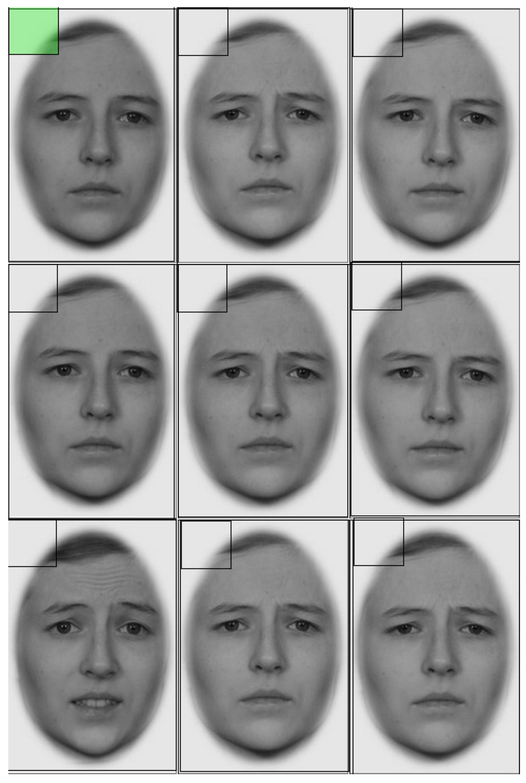 Jintelligence 10 00086 g0a2 Jintelligence 10 00086 g0a2