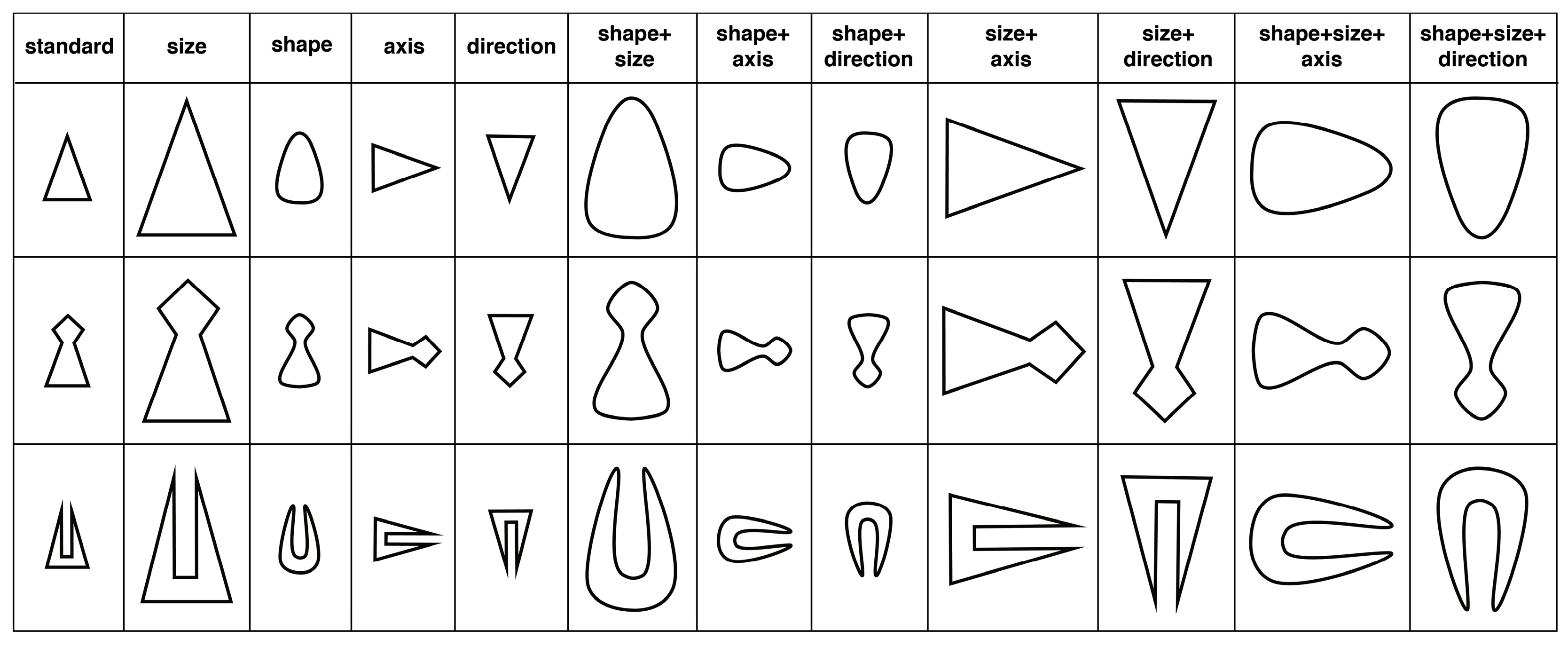 Sizing & How to Measure — Revelle