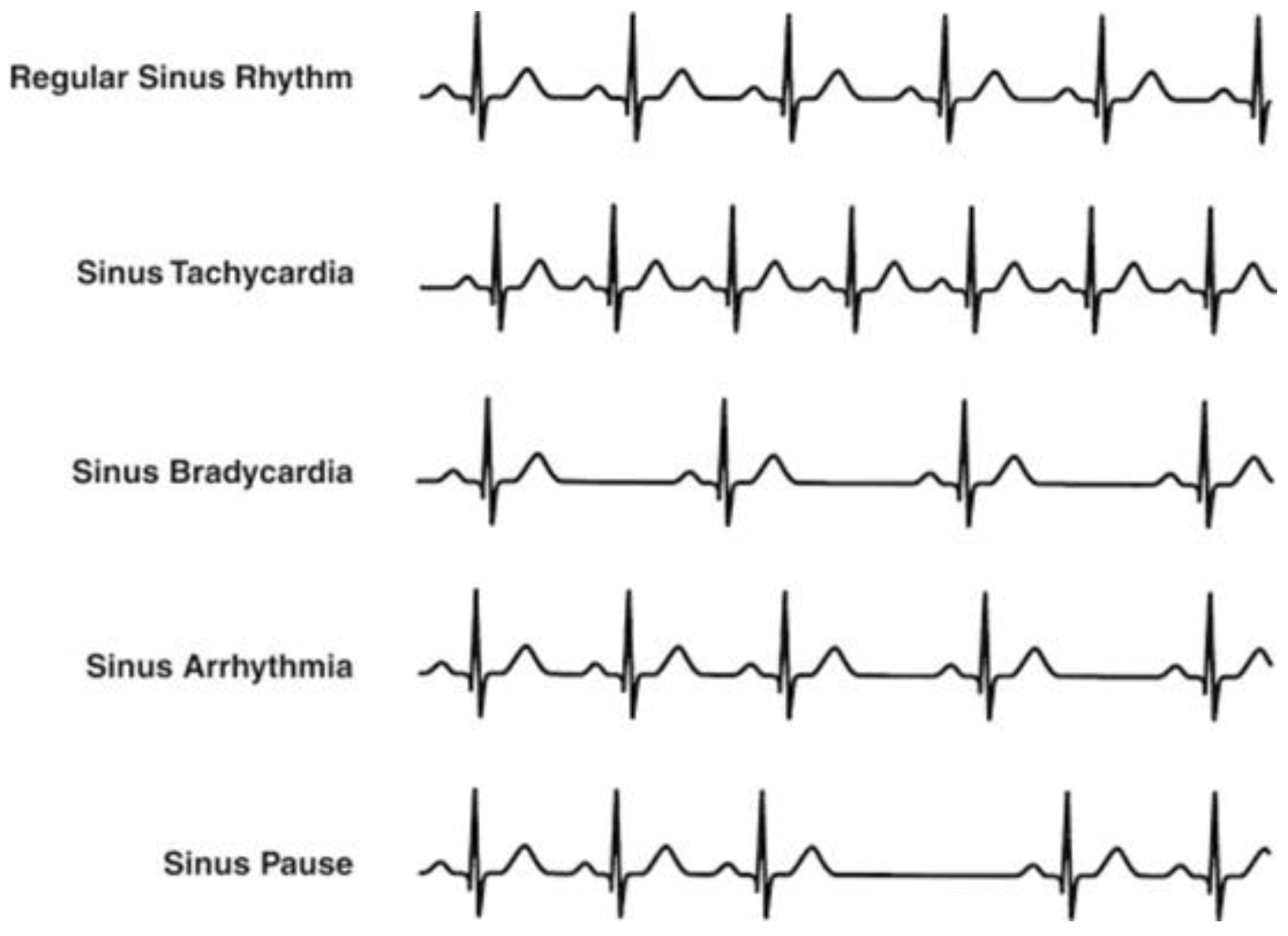 Jlpea 13 00006 g002 Jlpea 13 00006 g002