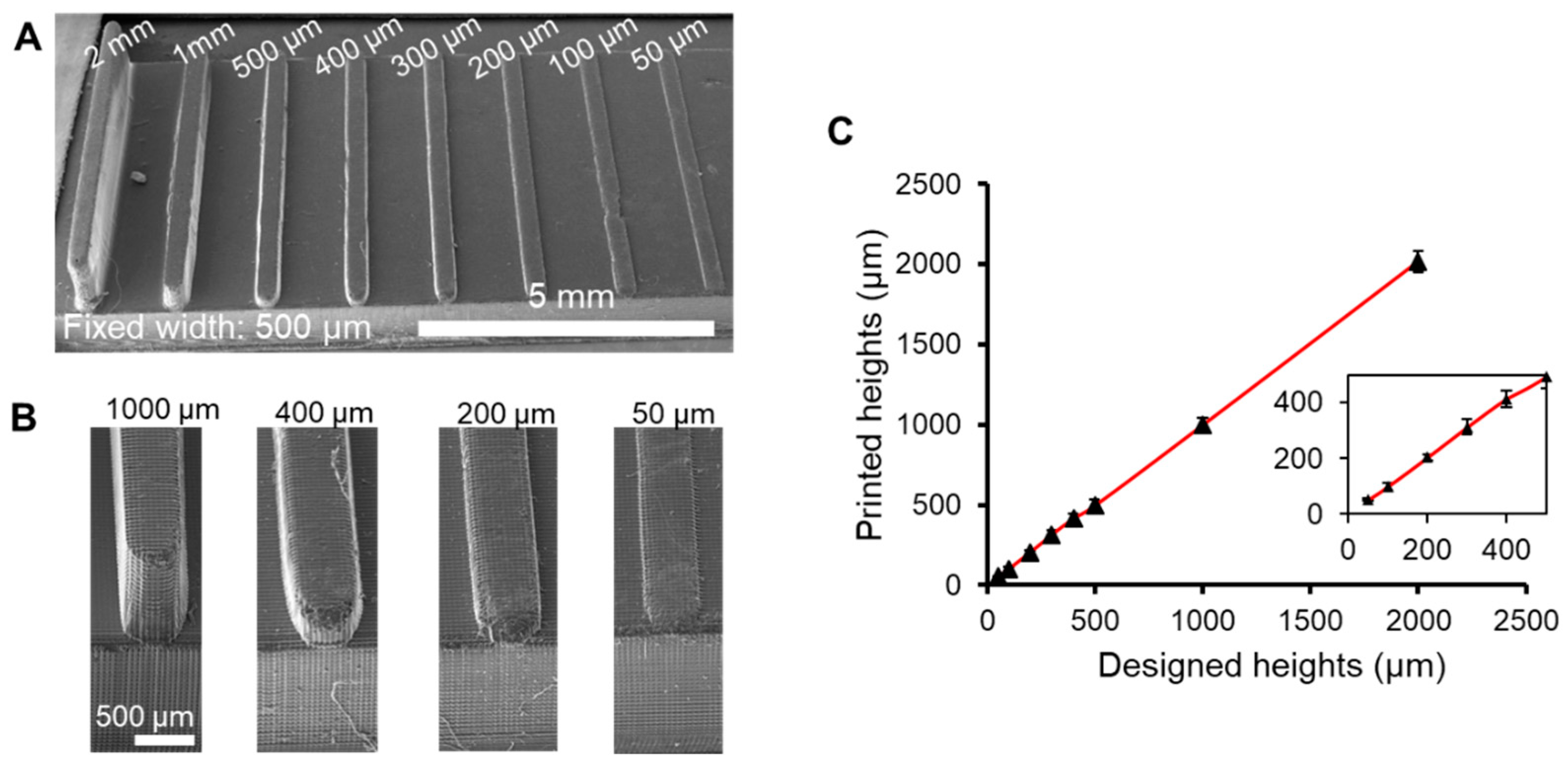 Jmmp 03 00026 g003 Jmmp 03 00026 g003