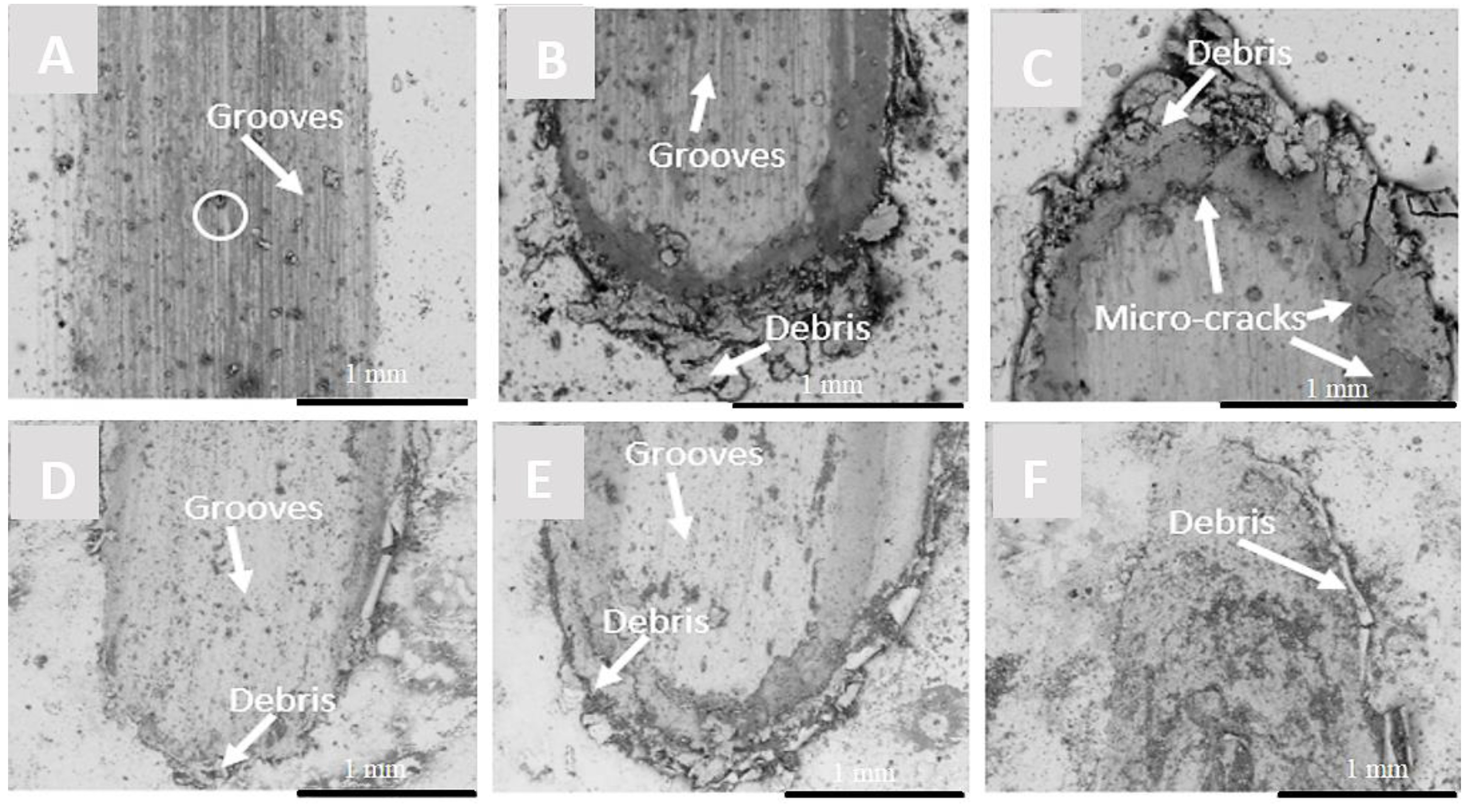 Jmmp 04 00017 g010 Jmmp 04 00017 g010