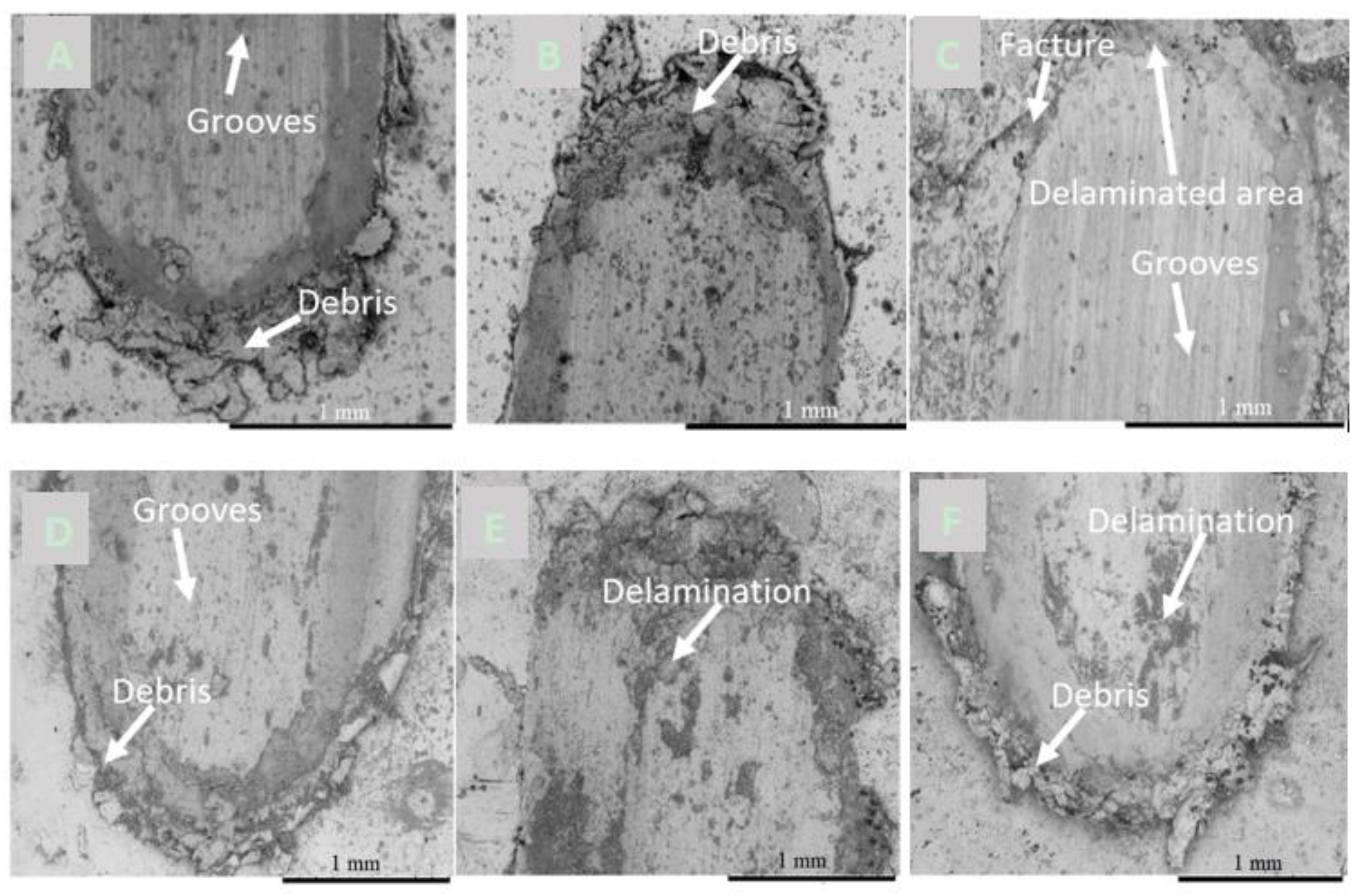 Jmmp 04 00017 g011 Jmmp 04 00017 g011