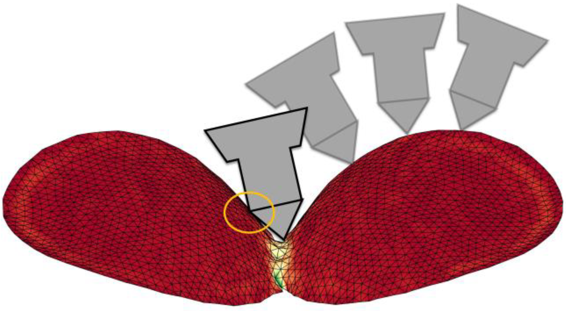 Jmmp 07 00009 g001 Jmmp 07 00009 g001