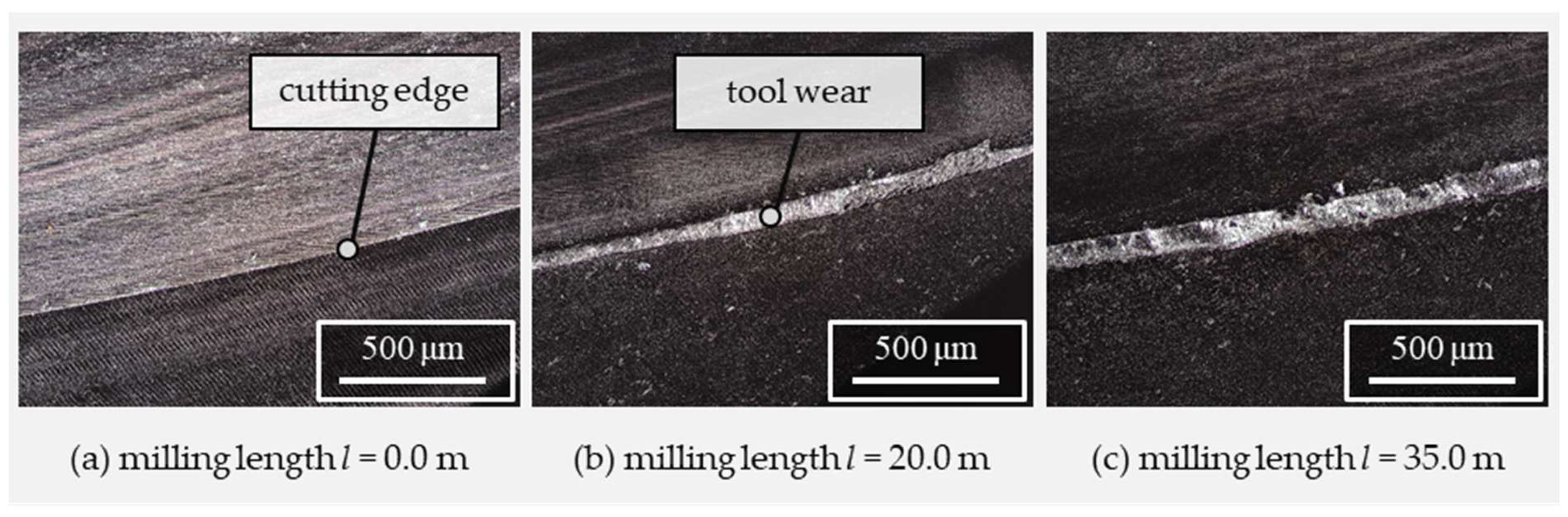 Jmmp 07 00100 g005 Jmmp 07 00100 g005