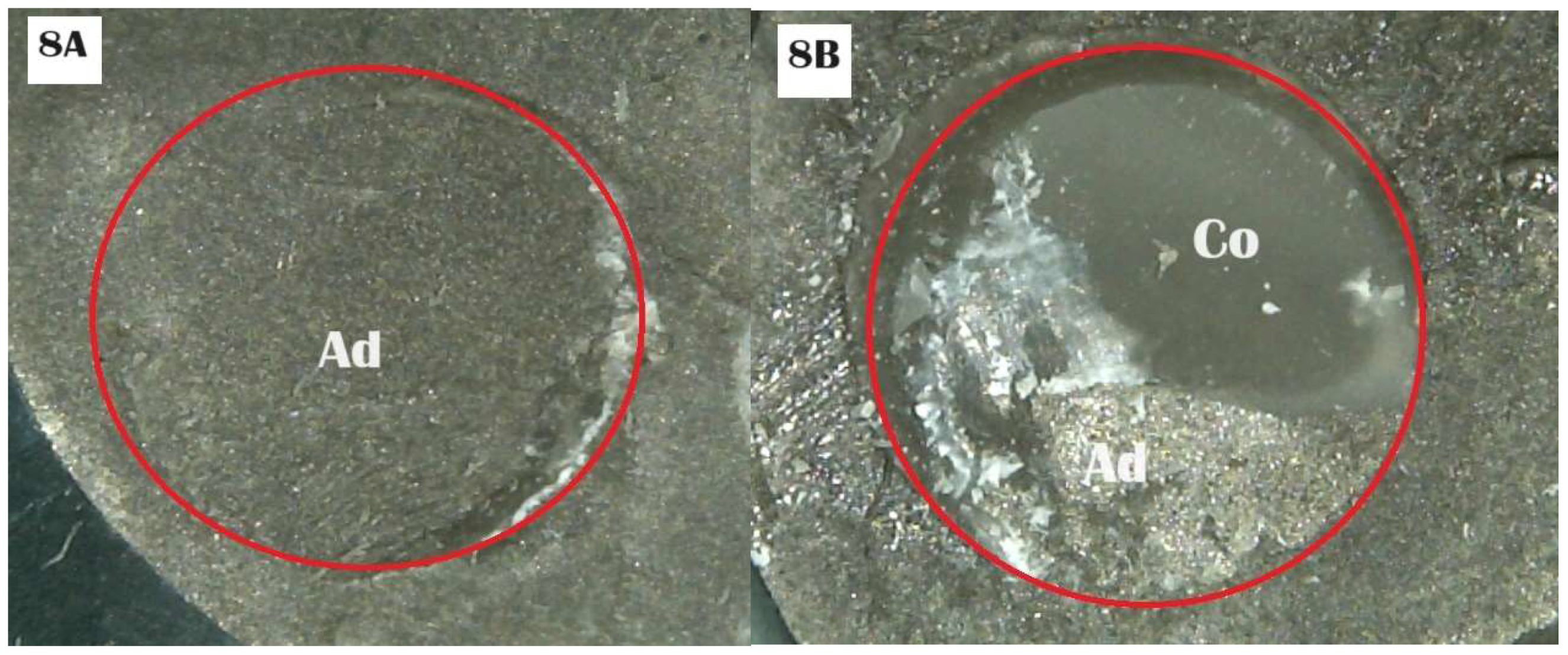 Jmmp 08 00196 g008