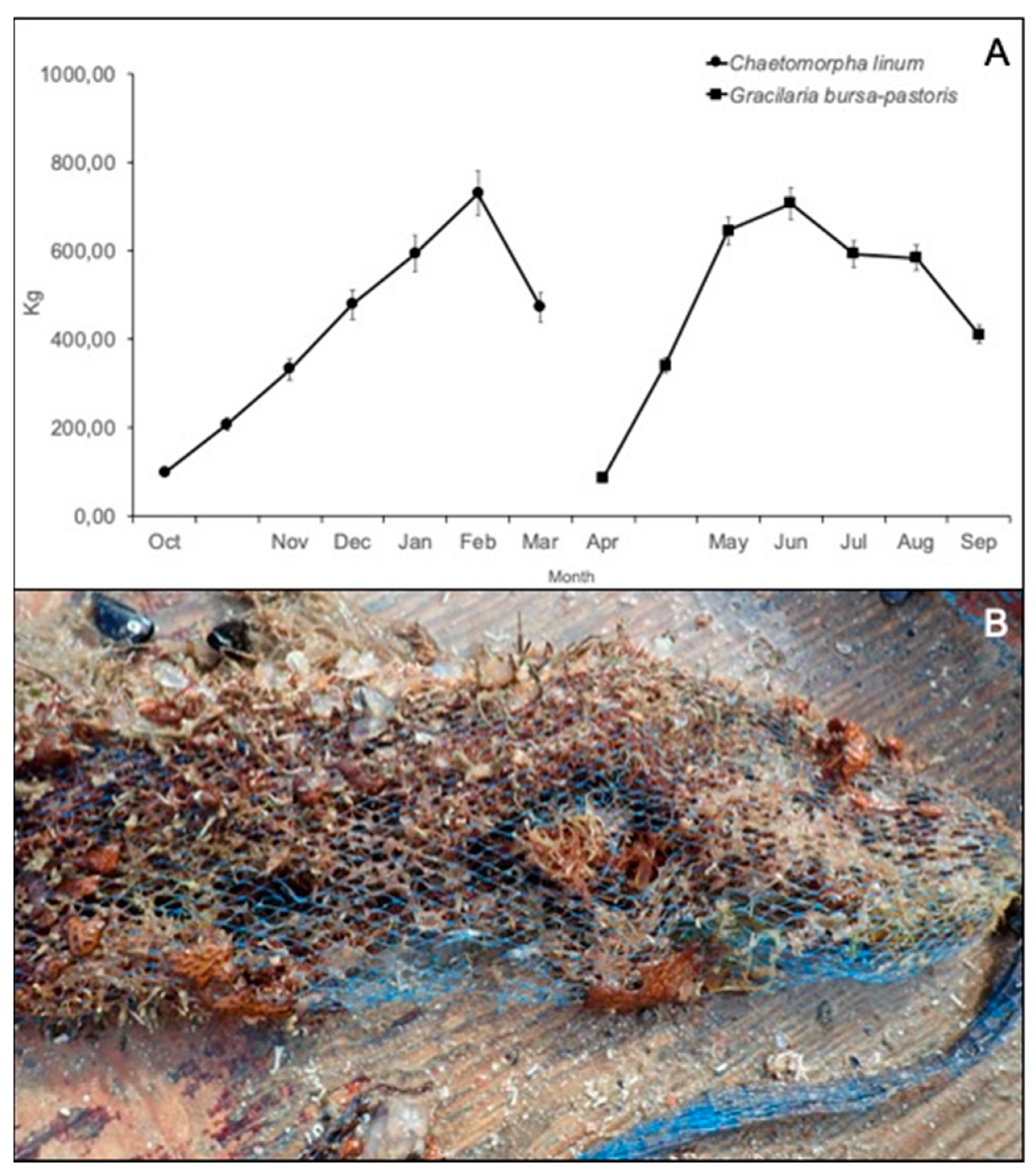 Jmse 08 00733 g009 Jmse 08 00733 g009