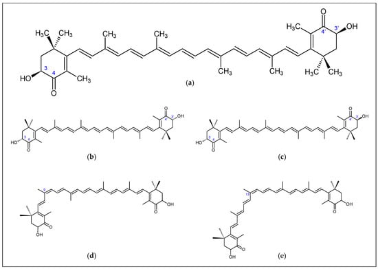 Jmse Free Full Text Novel Insights Into The Biotechnological Production Of Haematococcus Pluvialis Derived Astaxanthin Advances And Key Challenges To Allow Its Industrial Use As Novel Food Ingredient Html