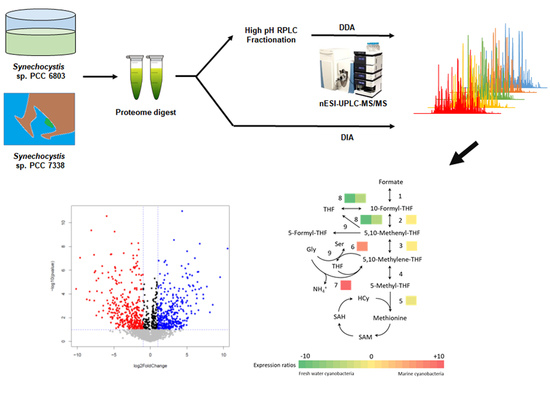 JMSE | Free Full-Text | Comparative Proteomic Profiling of Marine and ...