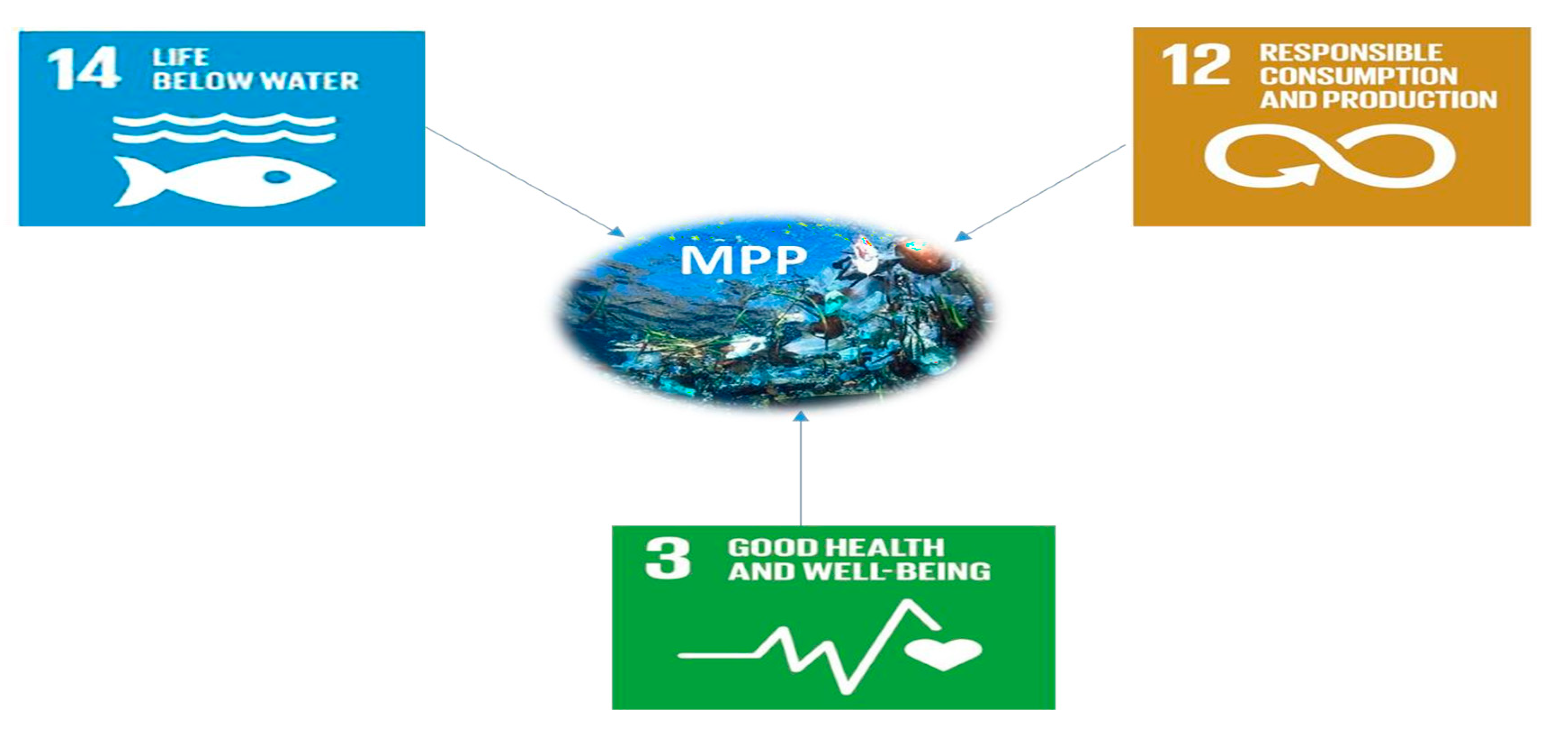 Jmse 08 00945 g001 Jmse 08 00945 g001