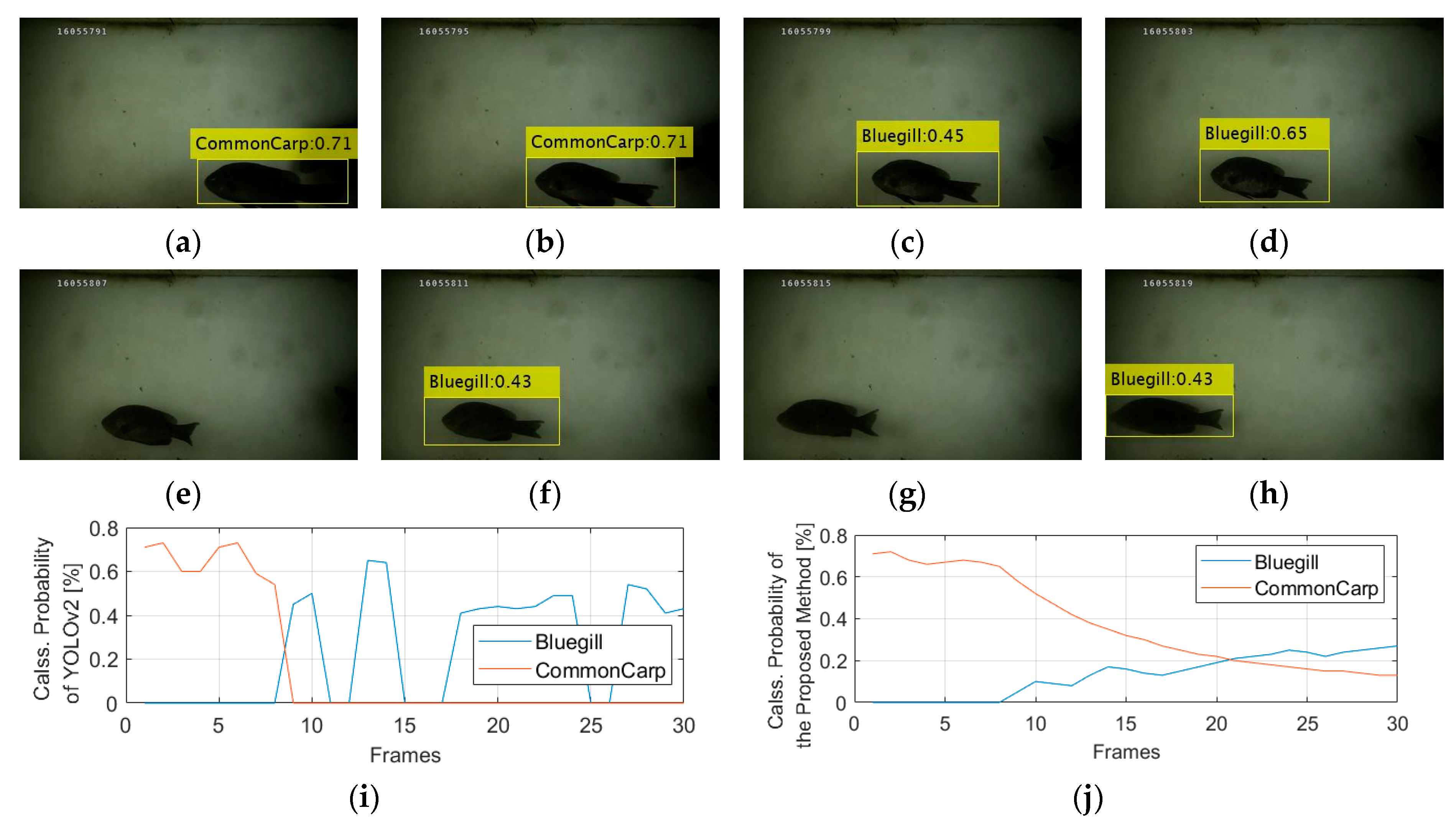 Jmse Free Full Text A Study On Enhancement Of Fish Recognition Using Cumulative Mean Of Yolo Network In Underwater Video Images Html