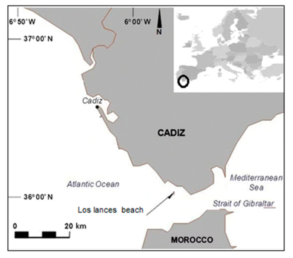 Jmse 09 00019 g002a Jmse 09 00019 g002a