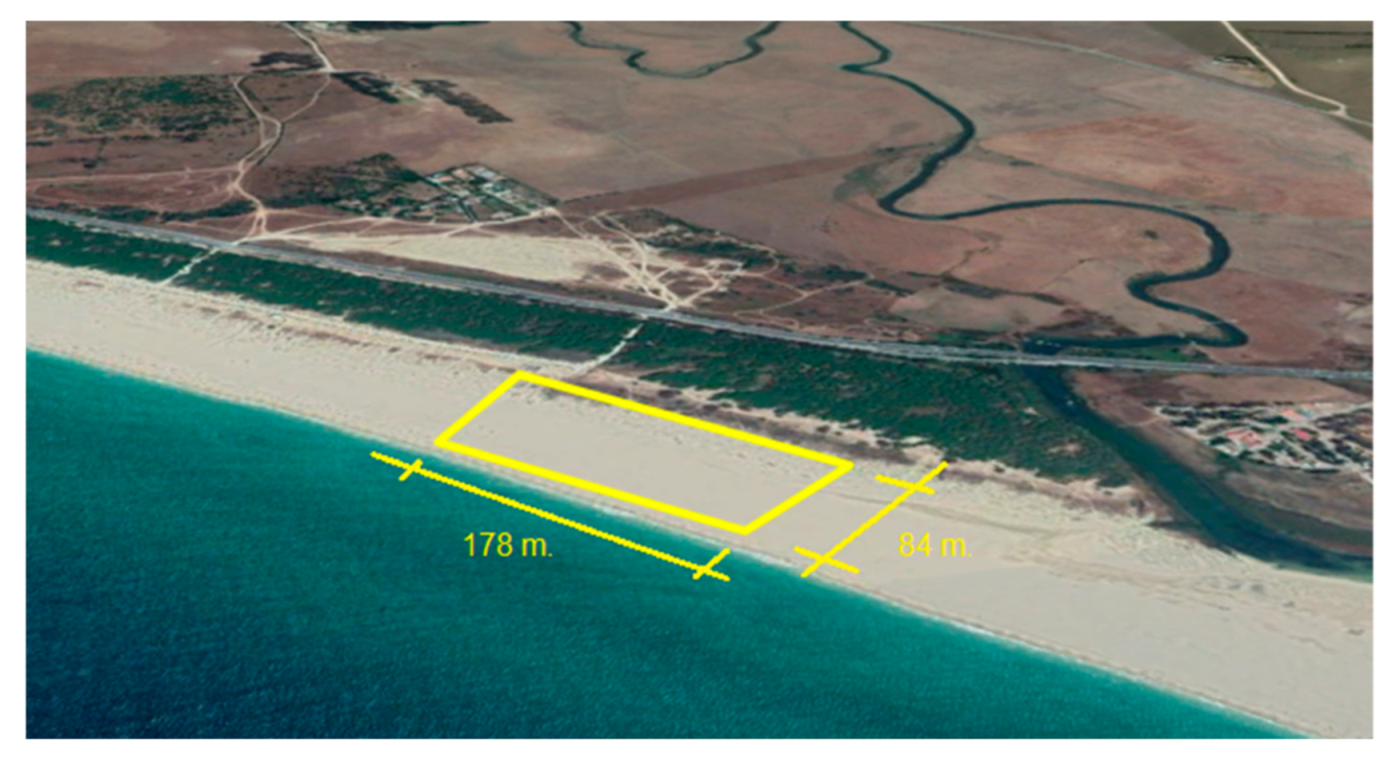 Jmse 09 00019 g002b Jmse 09 00019 g002b